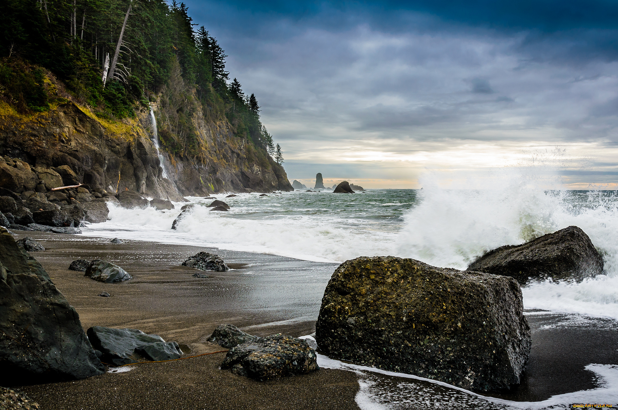 природа, побережье, скалы, камни, тучи, лес, пляж, океан