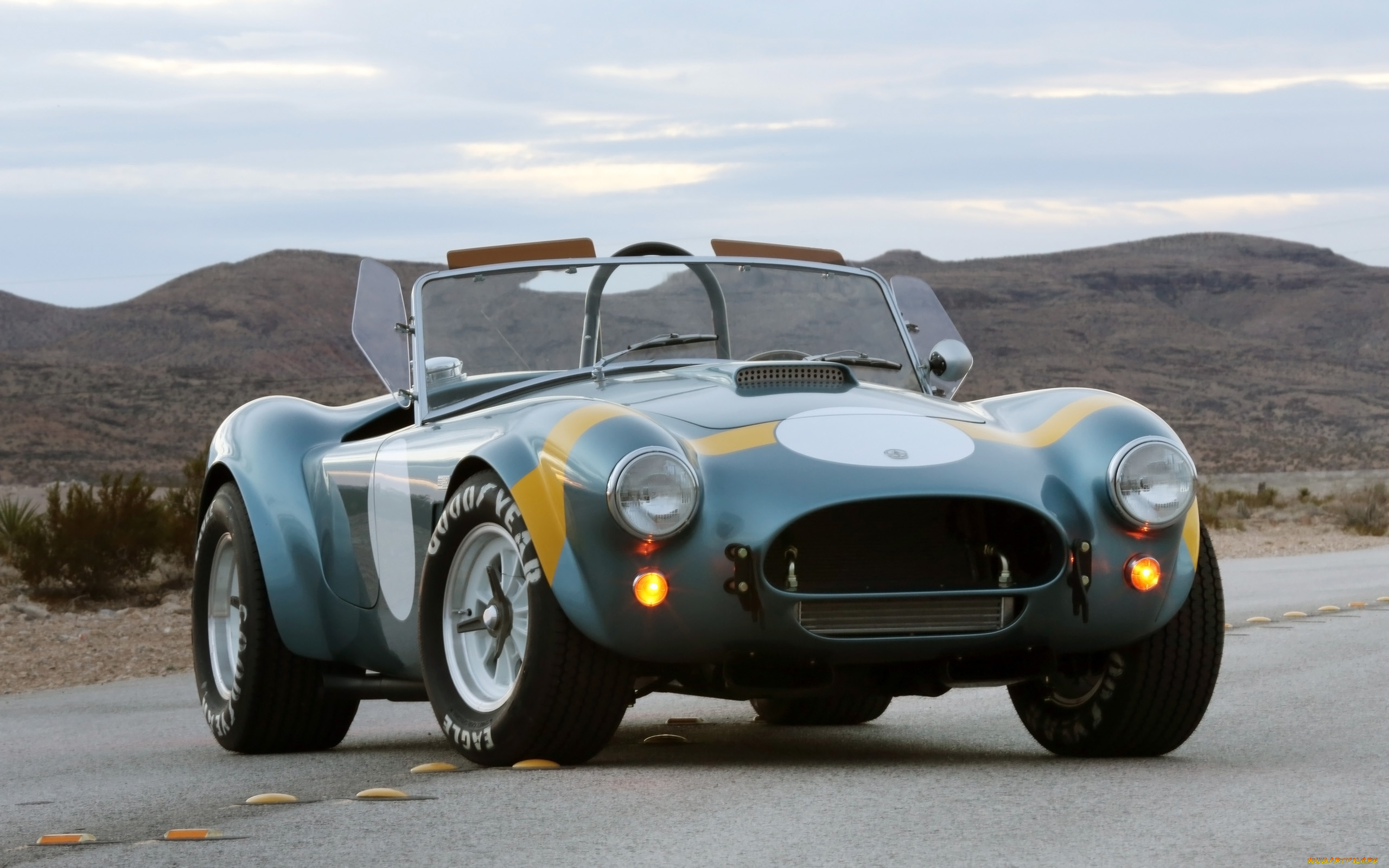 2014-shelby-cobra-289-fia-50th-anniversary-static, автомобили, ac, cobra, shelby, anniversary