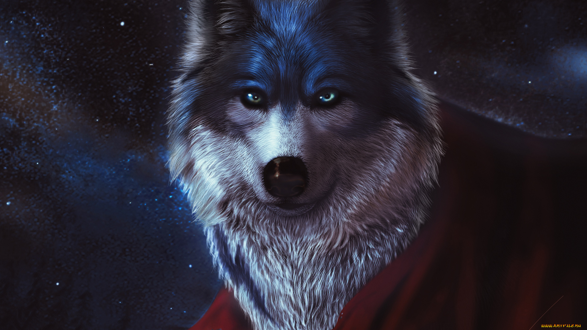 3д, графика, животные, , animals, волк, взгляд, животное, хищник