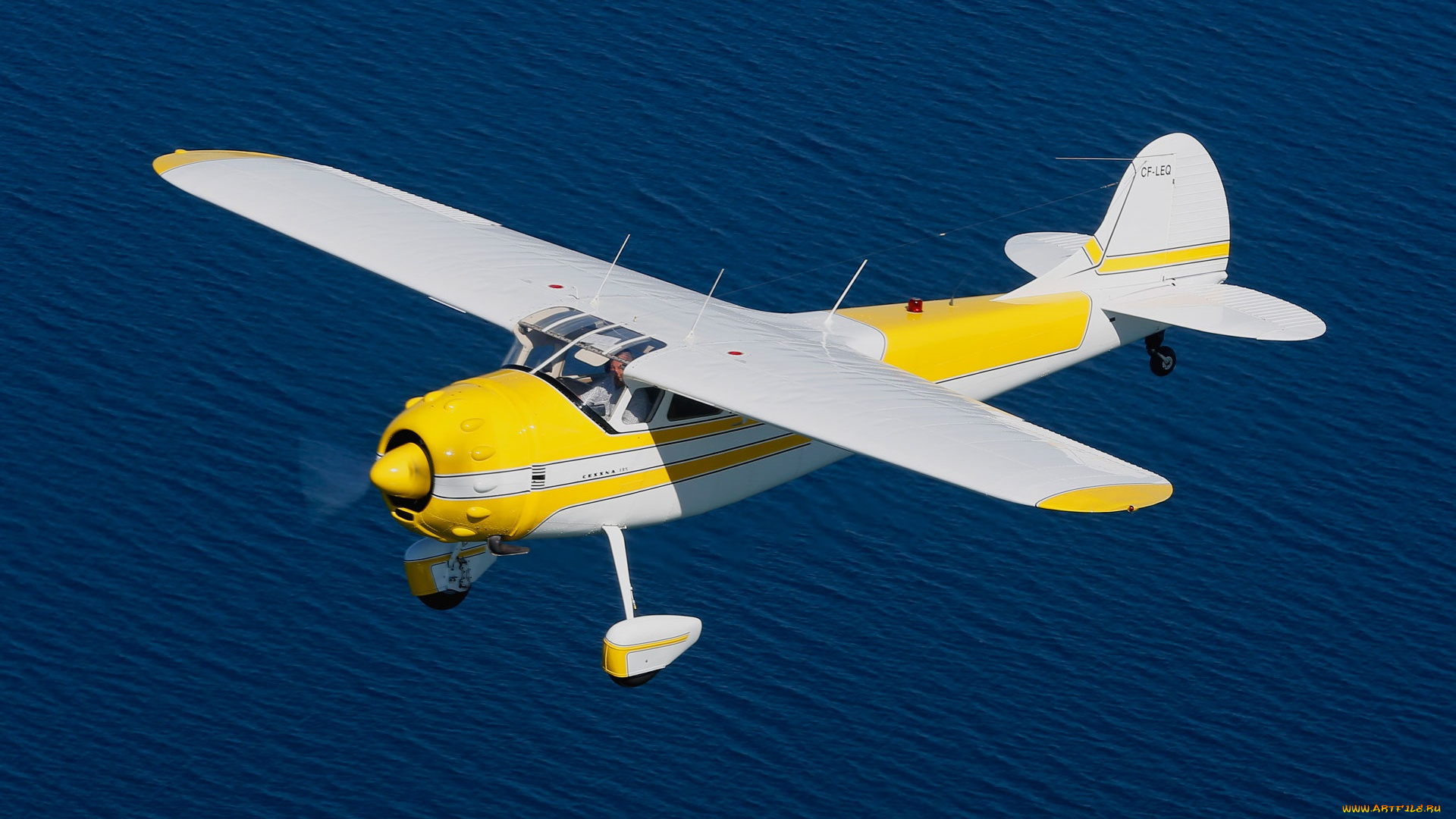 авиация, лёгкие, одномоторные, самолёты, полет, самолет