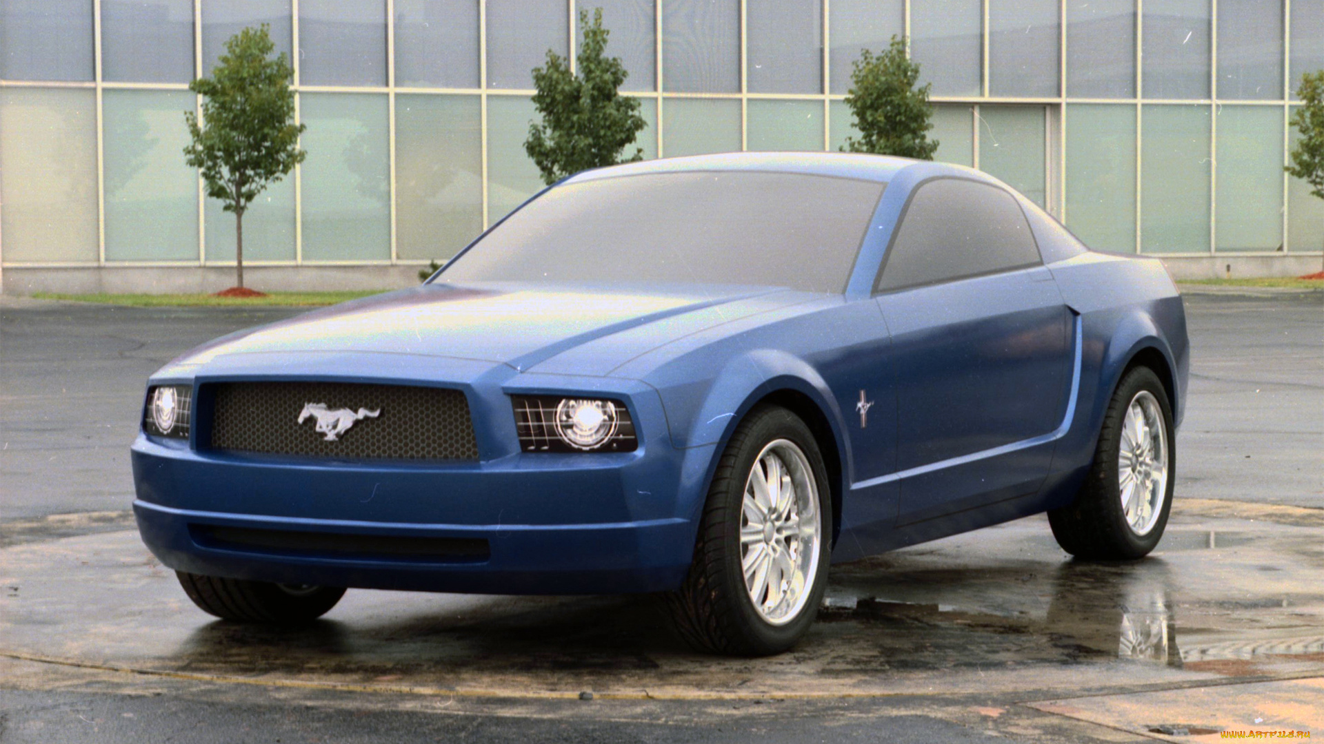 автомобили, mustang