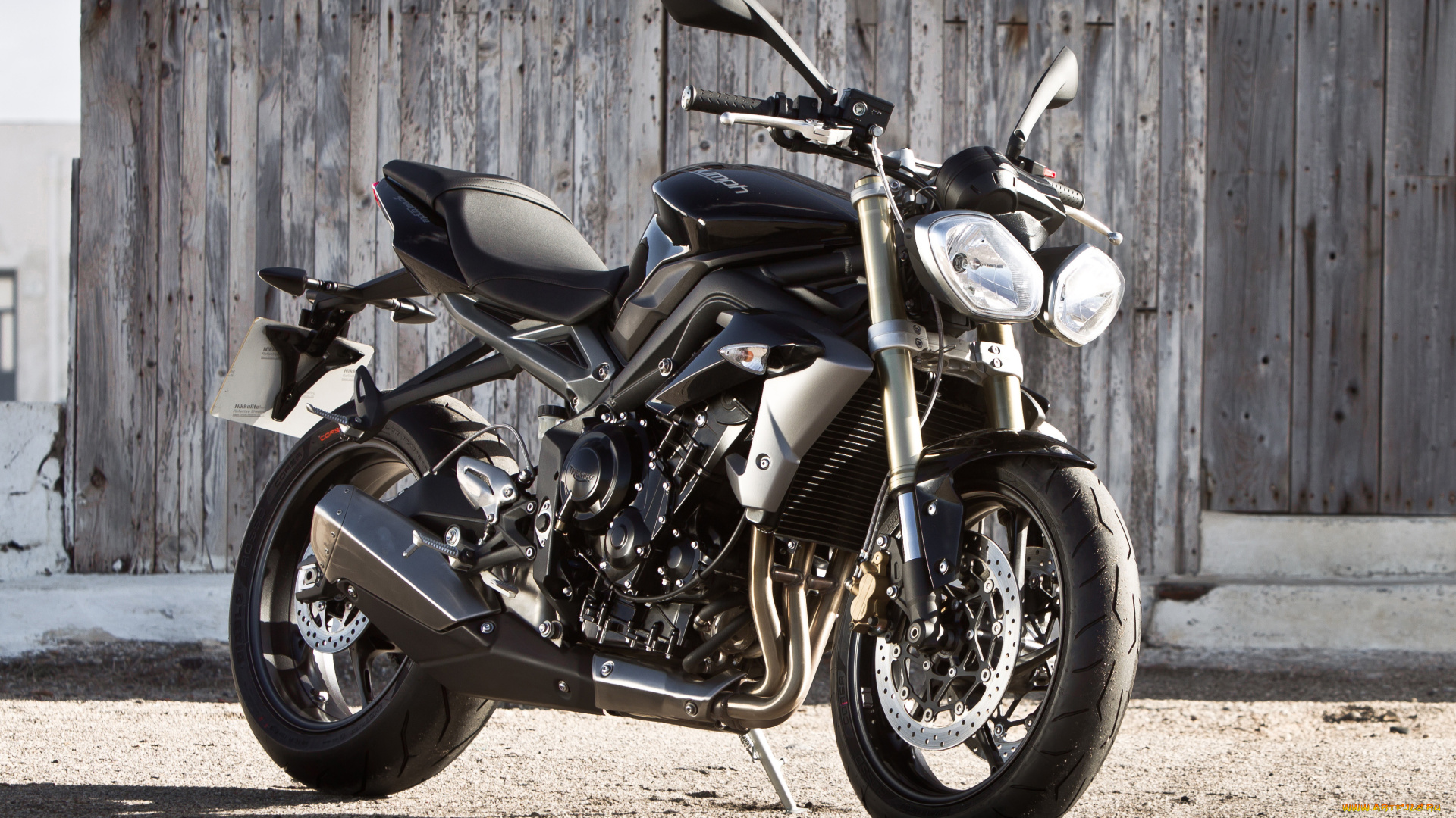 мотоциклы, triumph