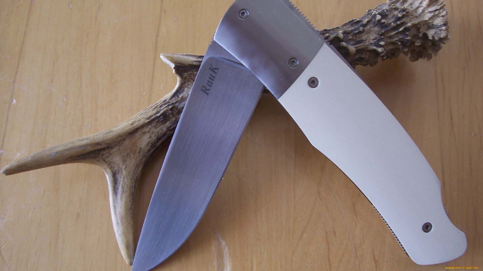 оружие, холодное, оружие, складной, нож