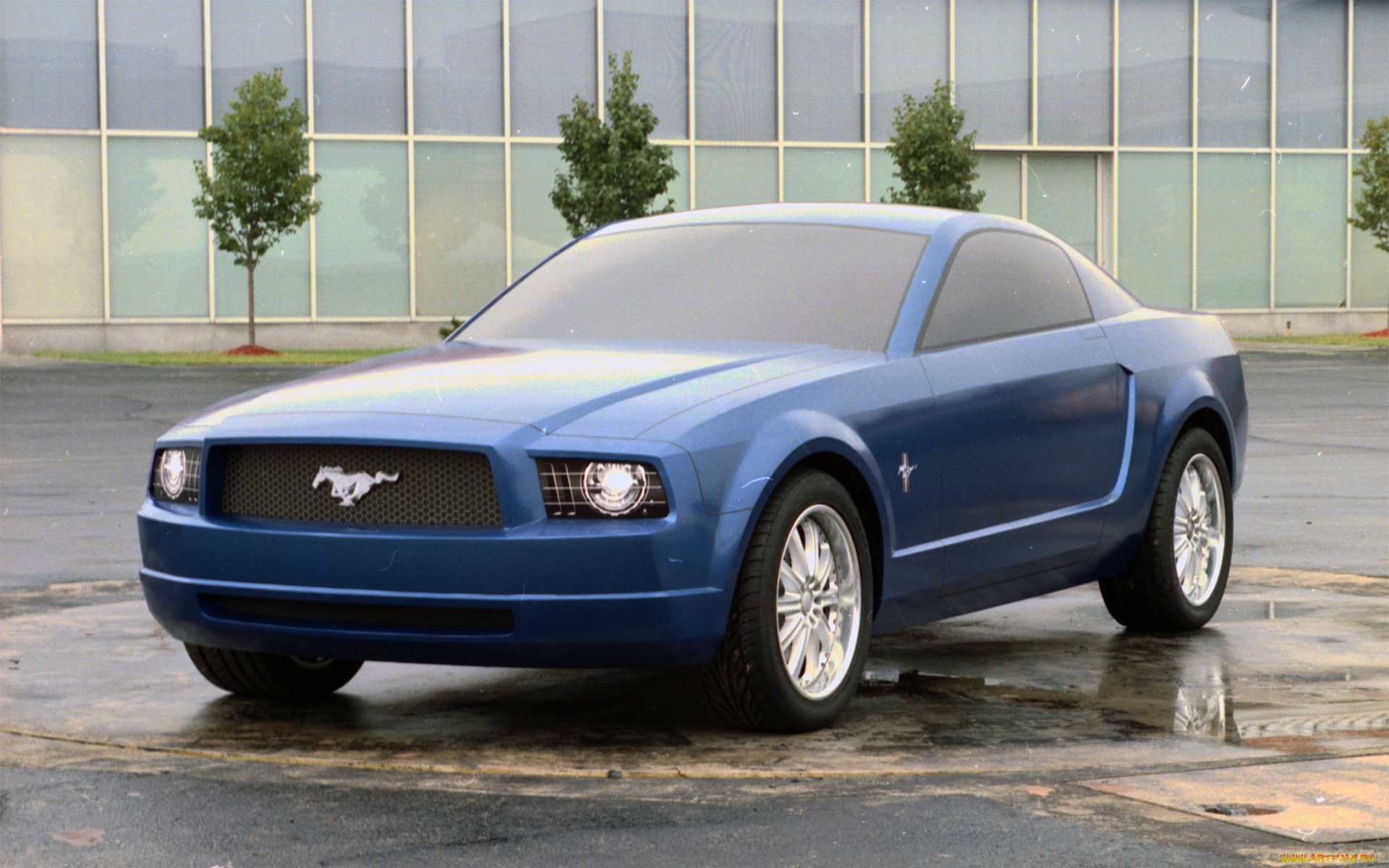 автомобили, mustang