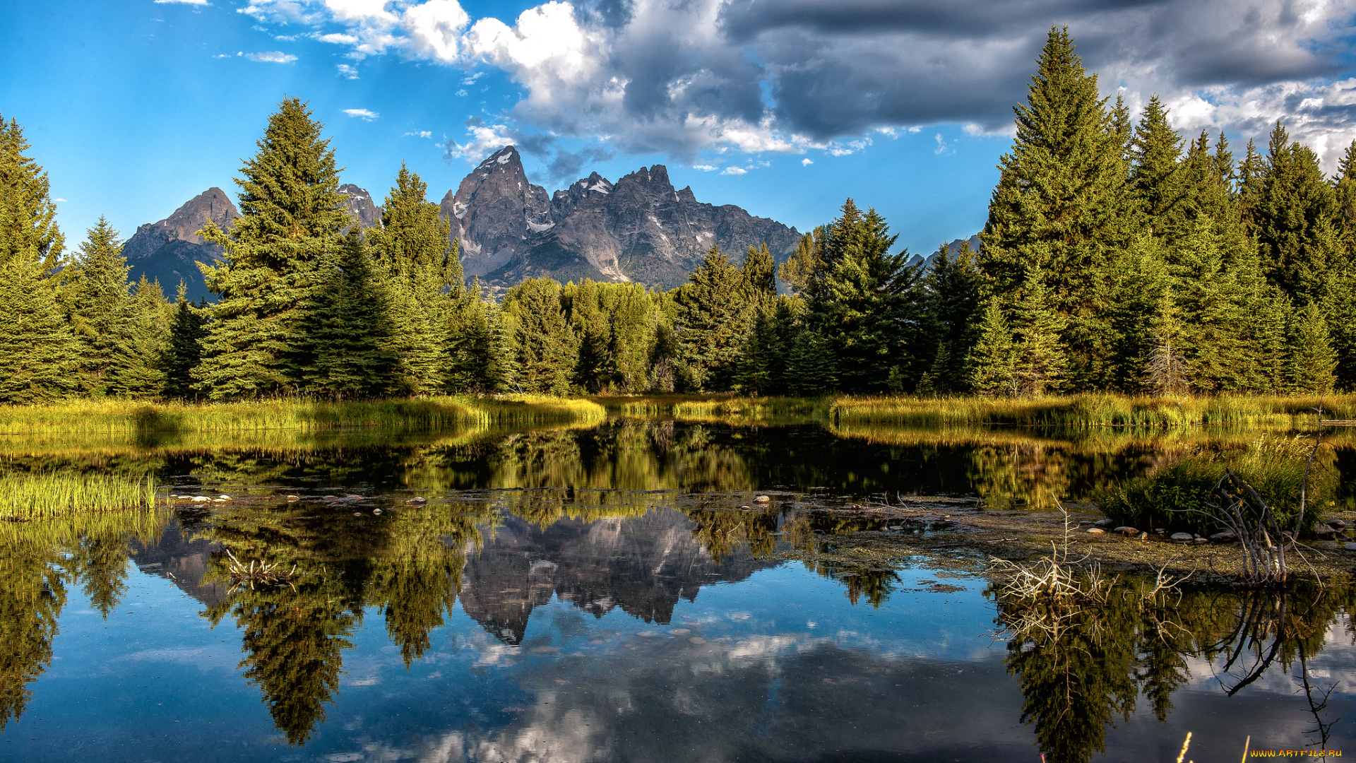 природа, реки, озера, река, лес, горы