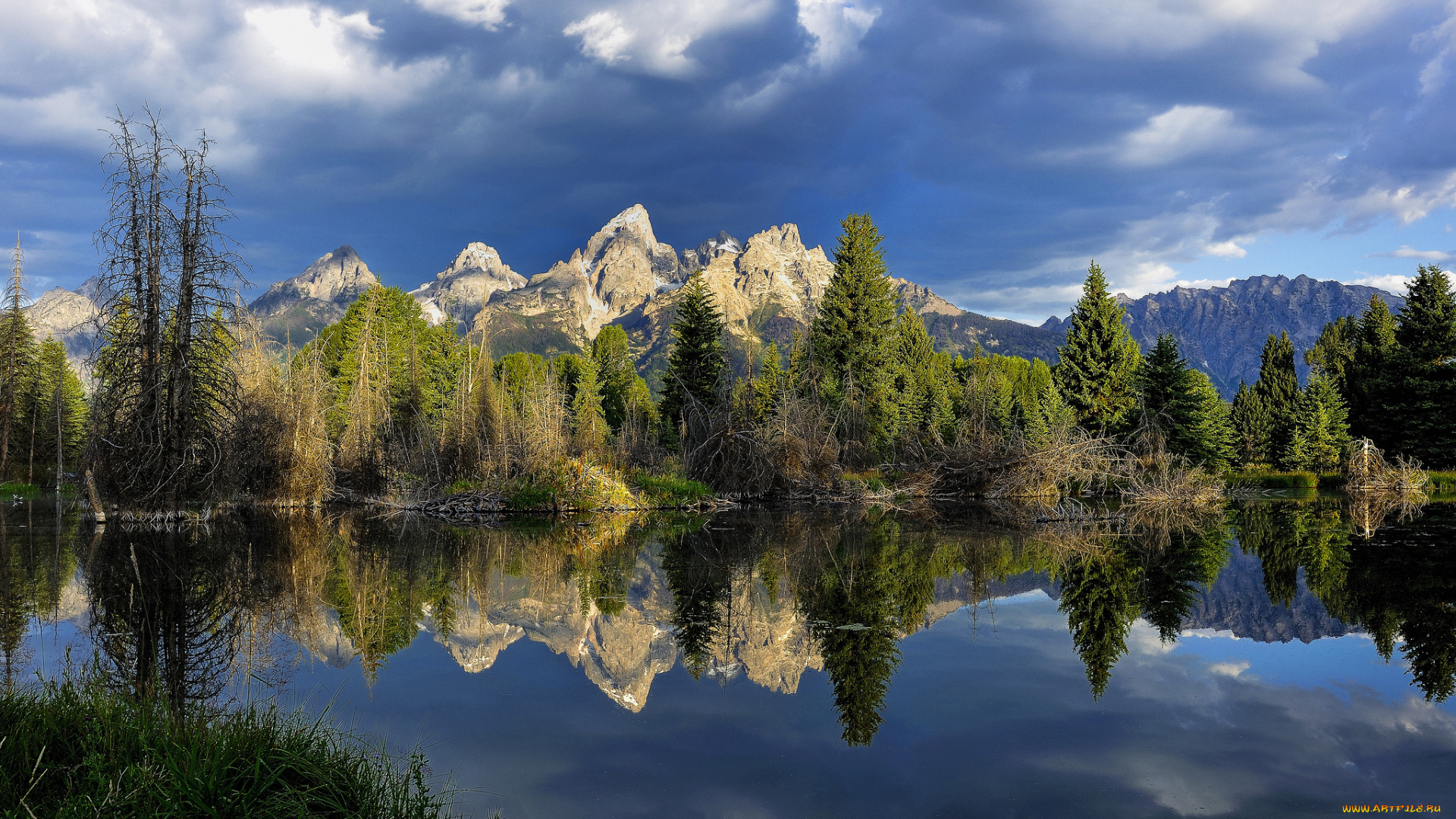 природа, реки, озера, река, лес, горы