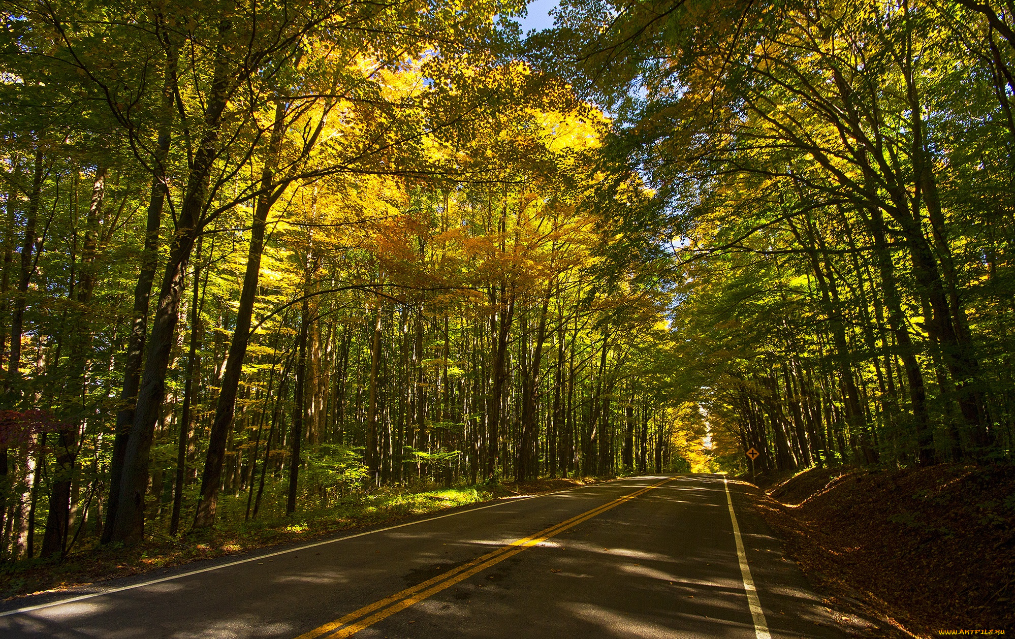 природа, дороги, шоссе, лес