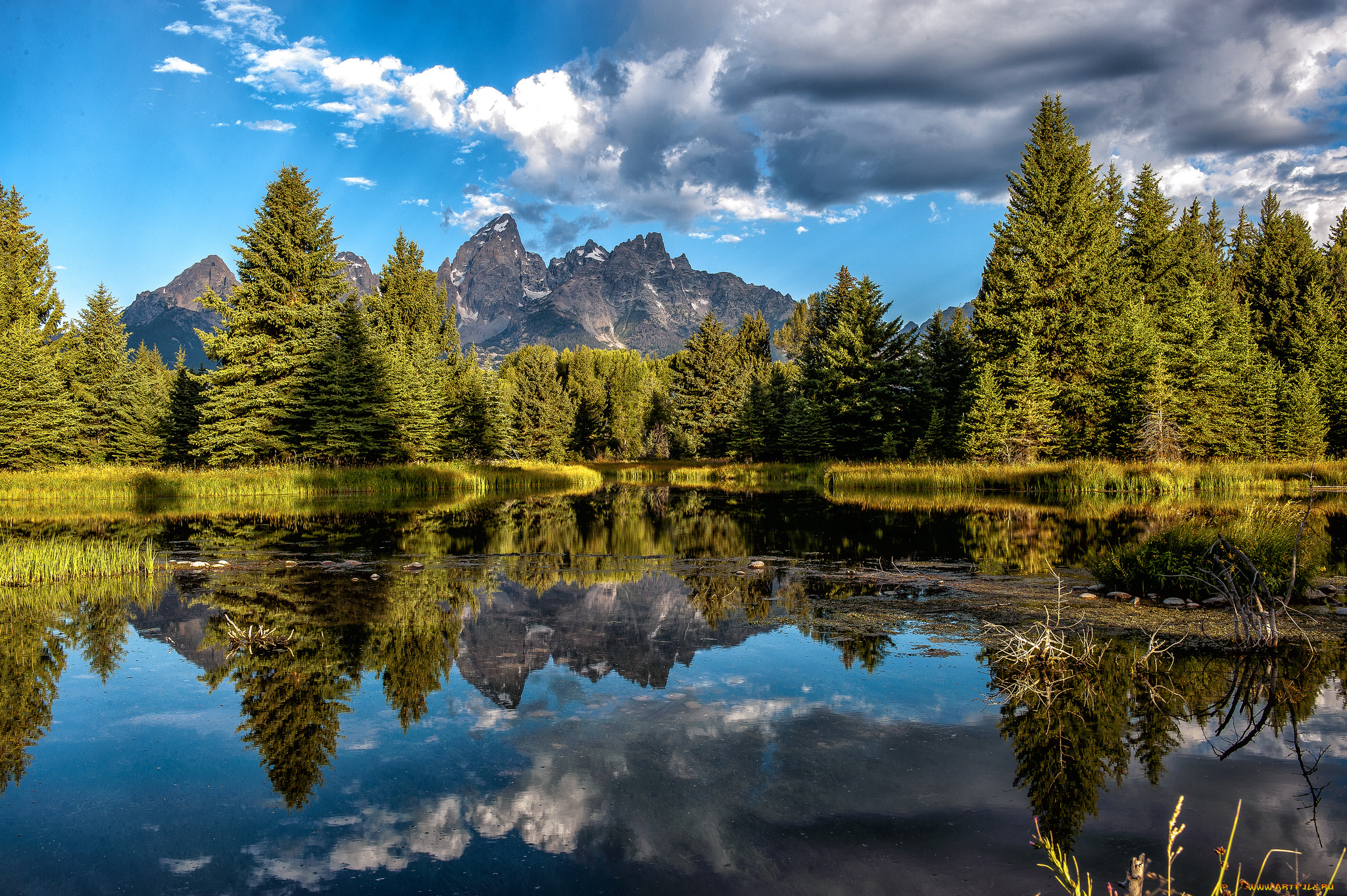 природа, реки, озера, река, лес, горы