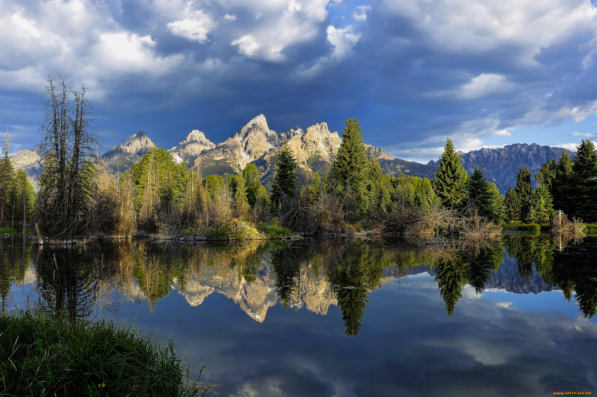 природа, реки, озера, река, лес, горы