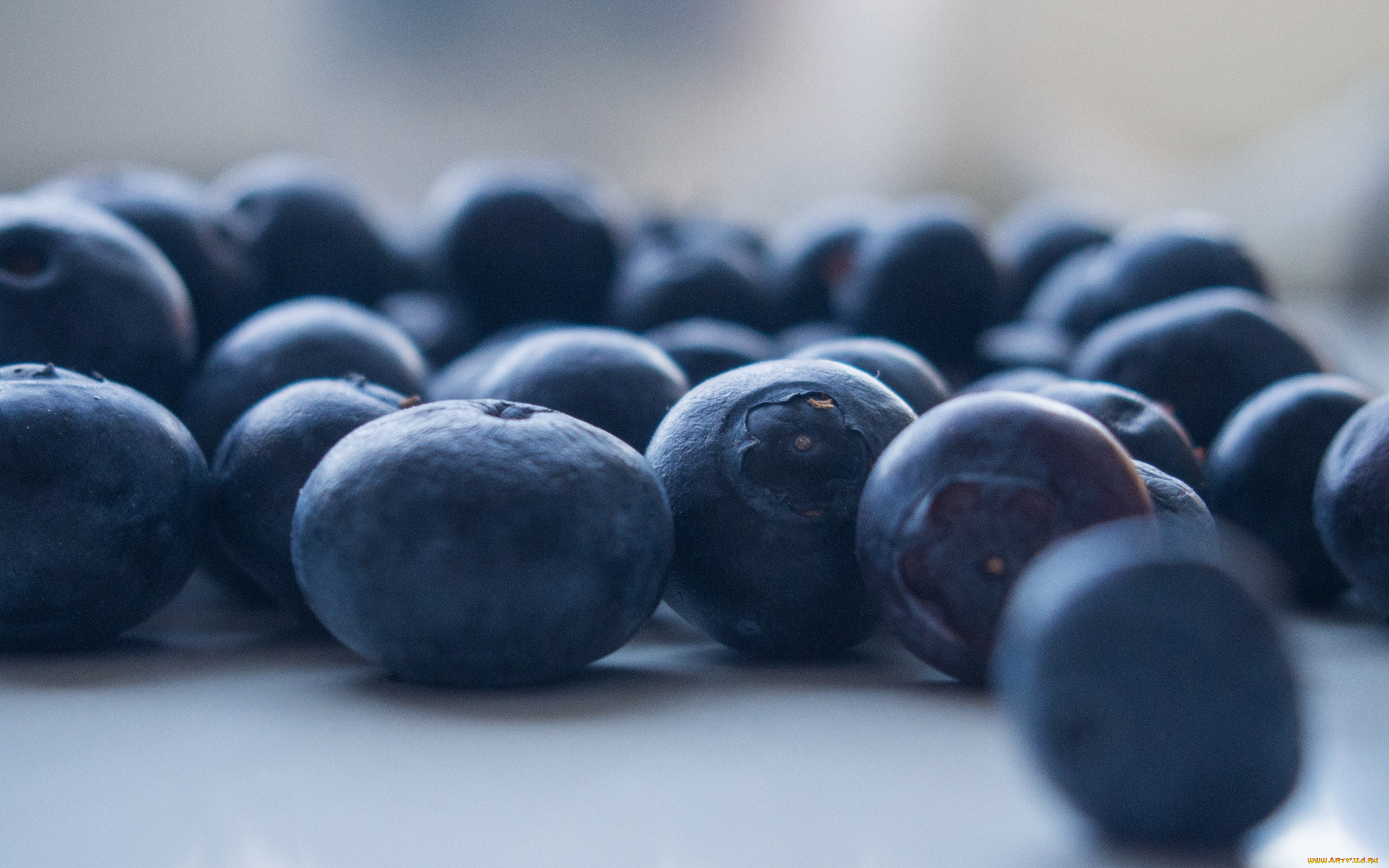 еда, голубика, , черника, ягоды, черника