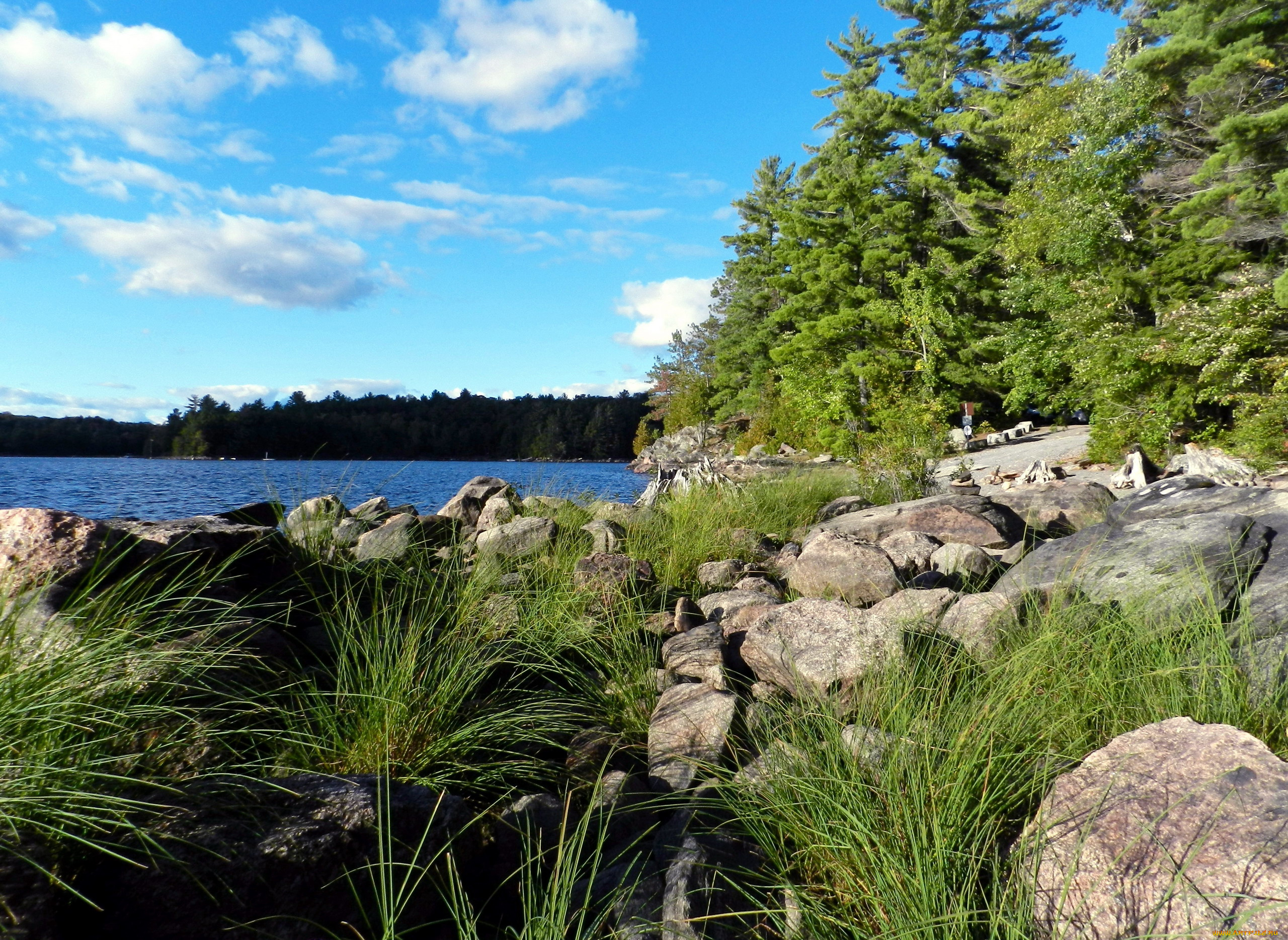 природа, реки, озера, камни, река, деревья, лето