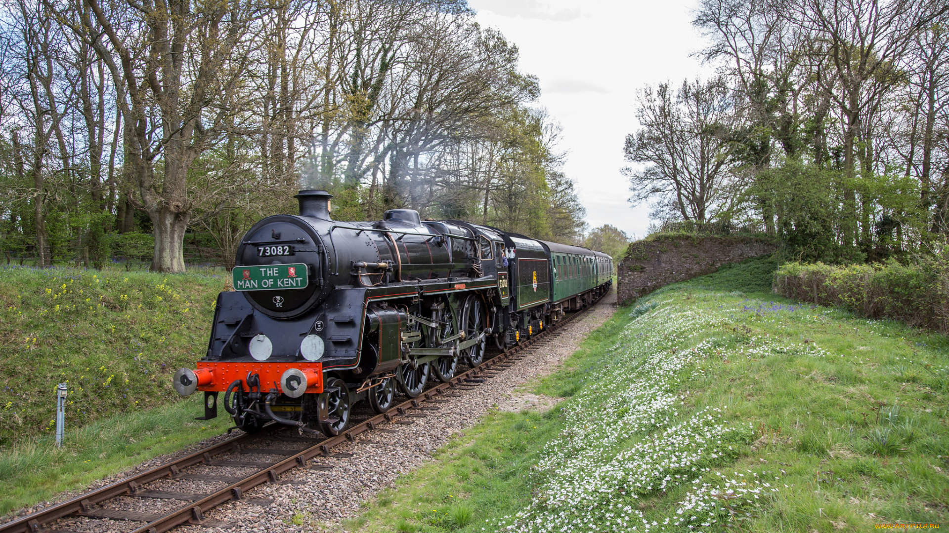 техника, паровозы, локомотив, состав