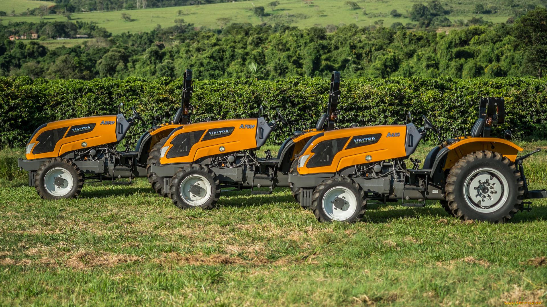 техника, тракторы, valtra