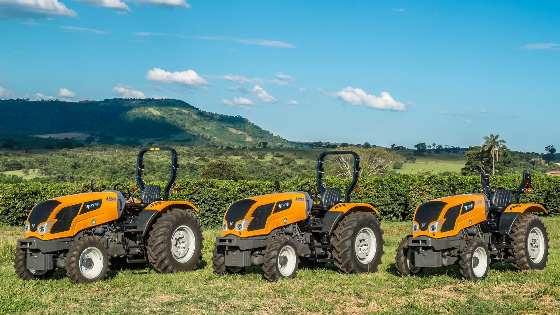 техника, тракторы, valtra