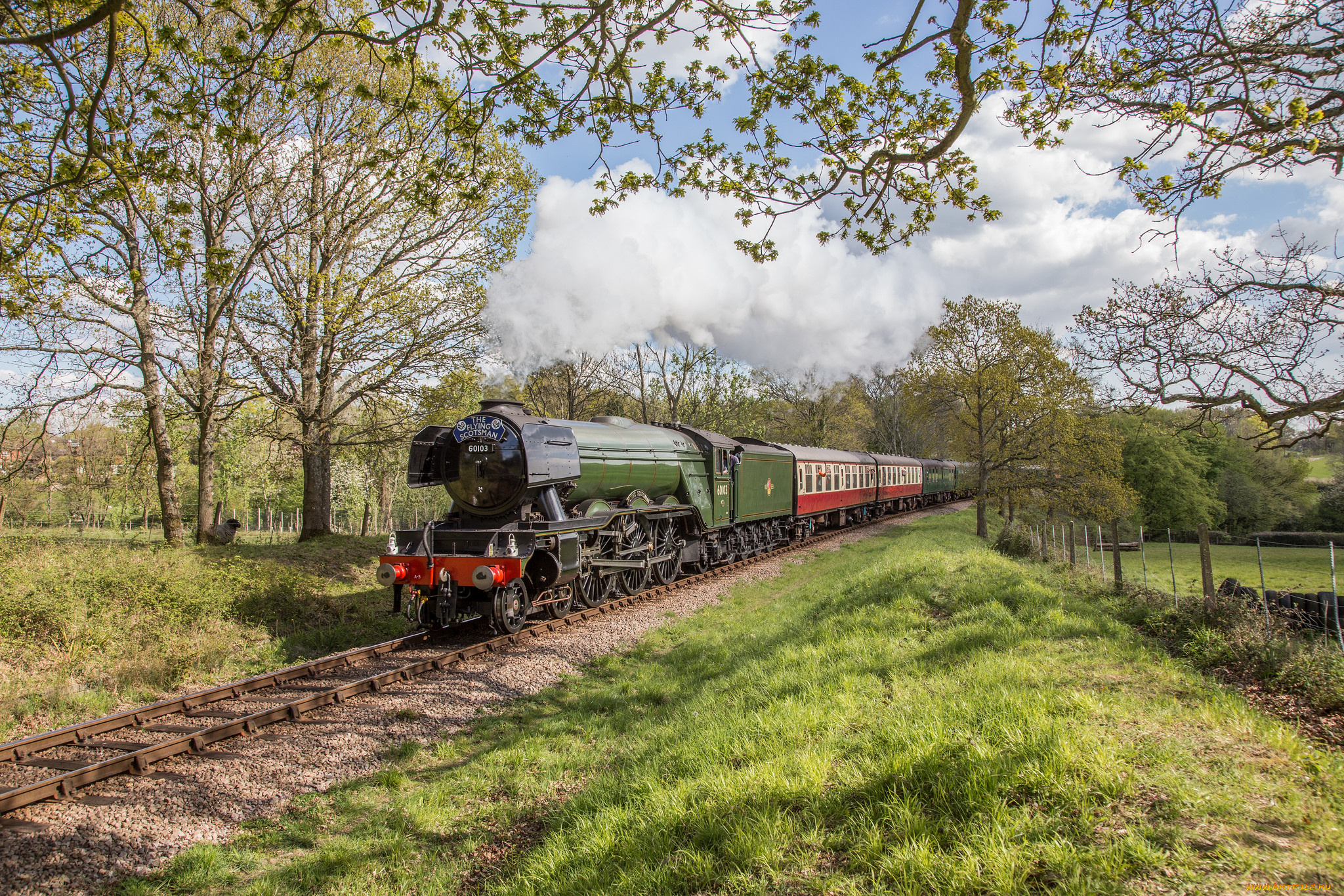 техника, паровозы, локомотив, состав