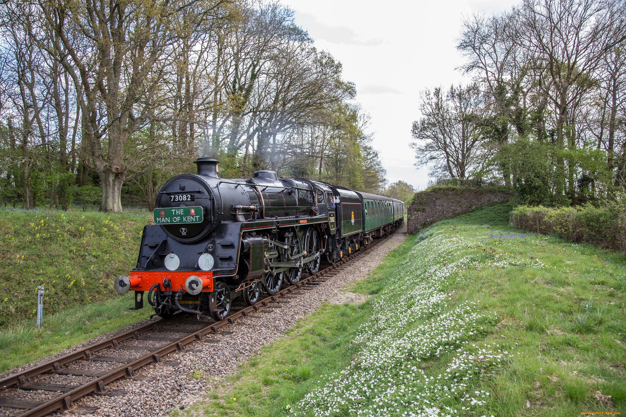 техника, паровозы, локомотив, состав