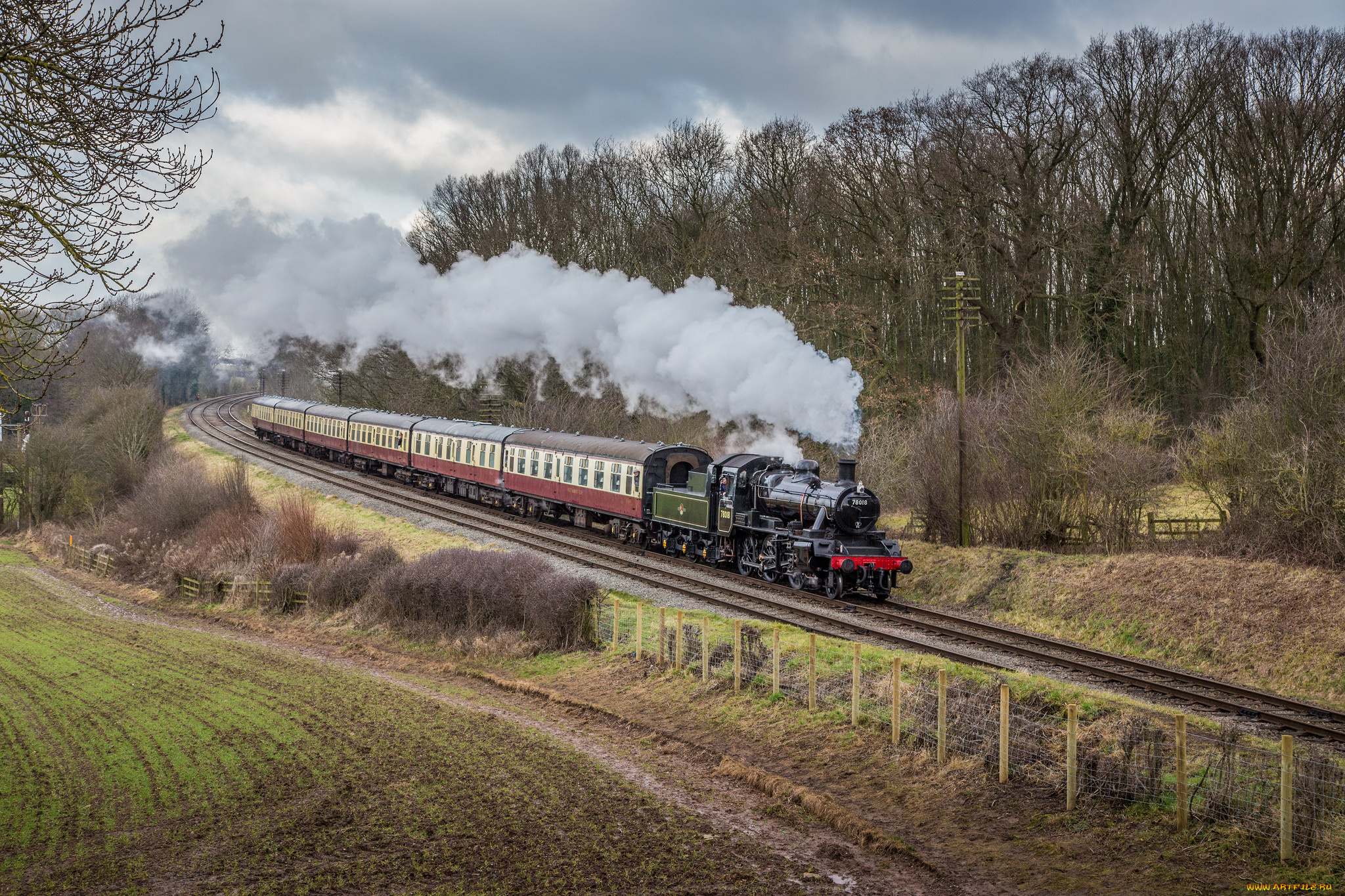 техника, паровозы, локомотив, состав