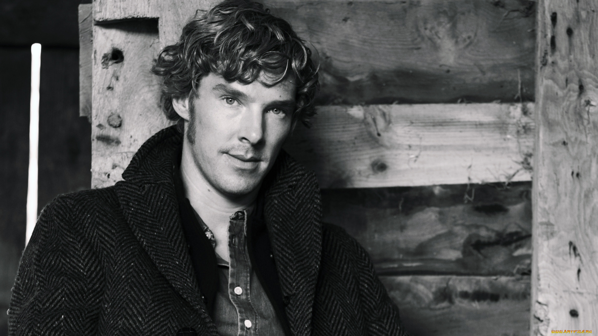 мужчины, benedict, cumberbatch, benedict, cumberbatch