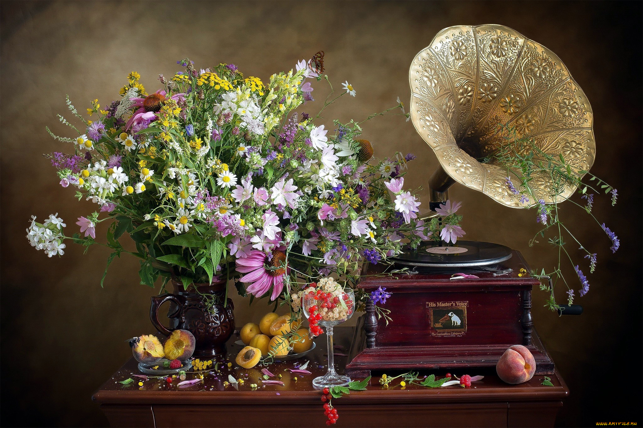 еда, натюрморт, букет, абрикосы, смородина, граммофон