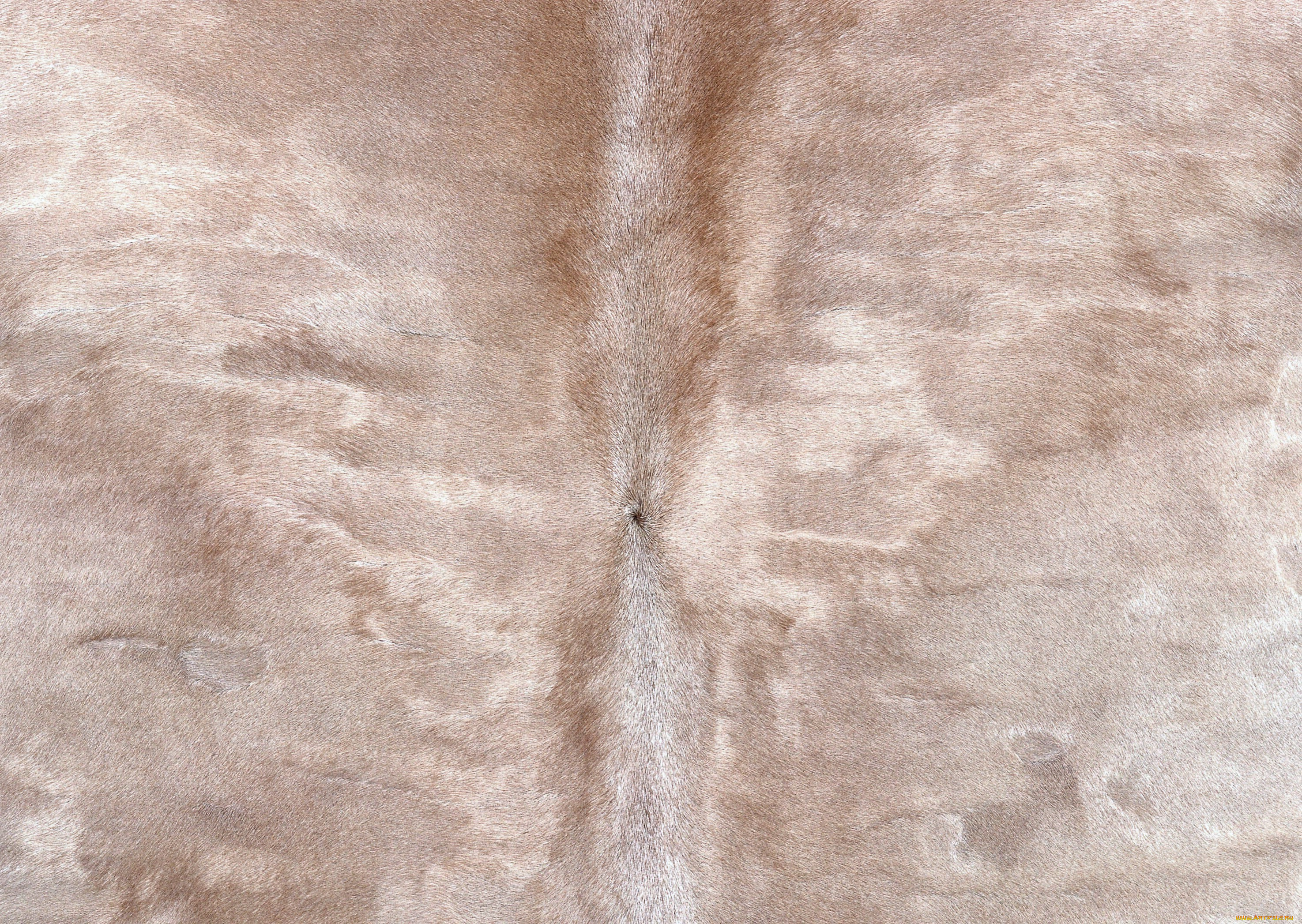 разное, текстуры, шкура