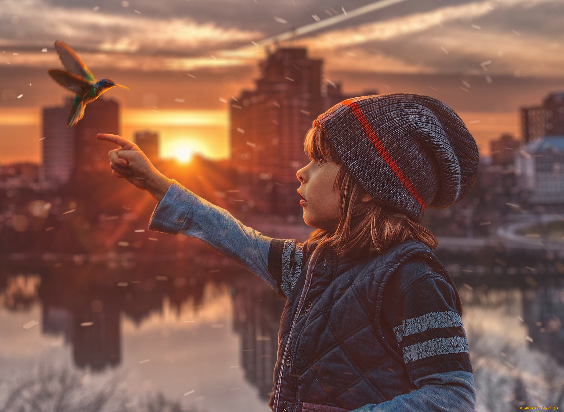 разное, компьютерный, дизайн, ребенок, шапка, палец, колибри, снег, город