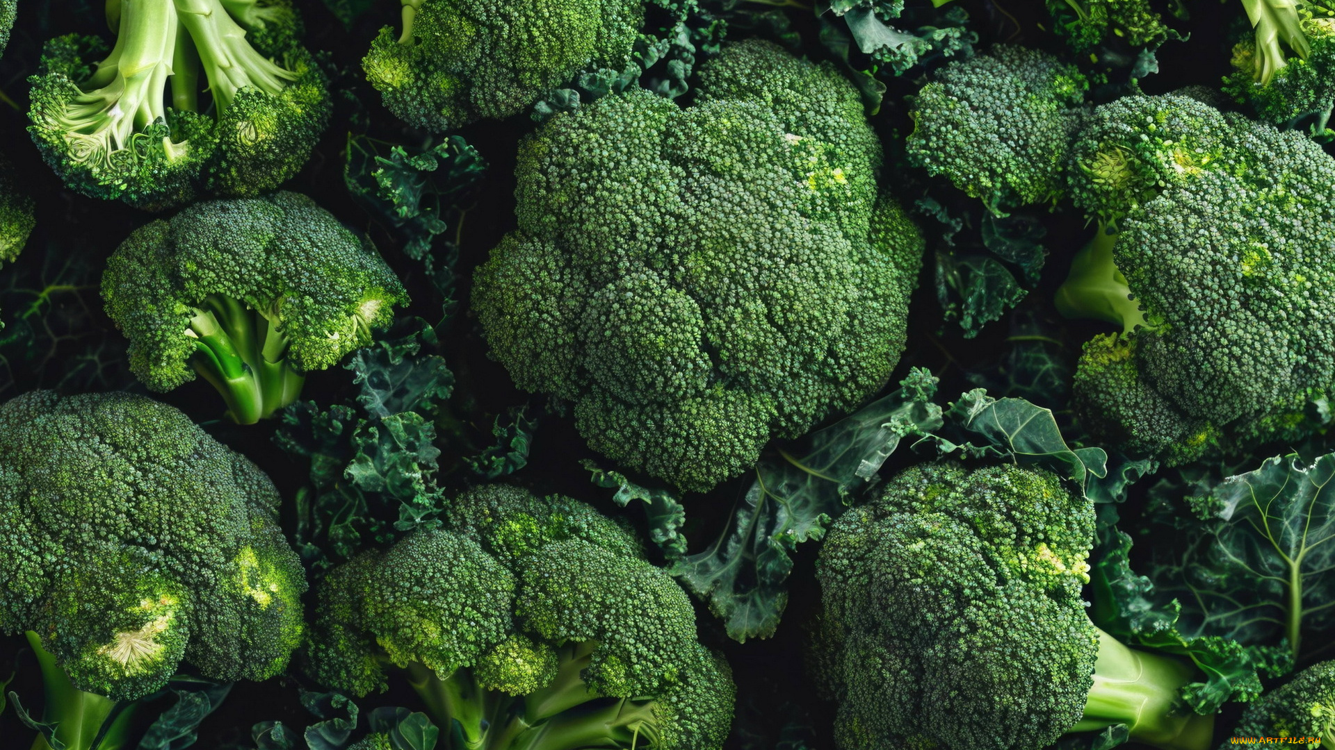 еда, капуста, и, её, разновидности, брокколи, капуста, макро