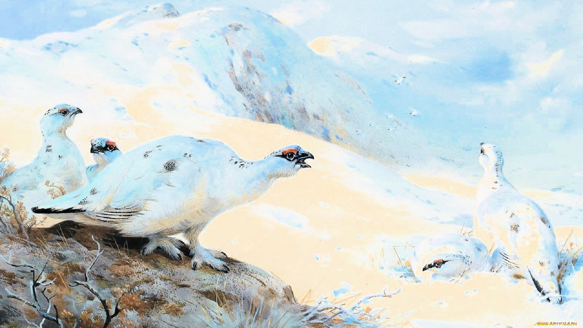 рисованное, archibald, thorburn, птицы, стая, горы, снег, зима
