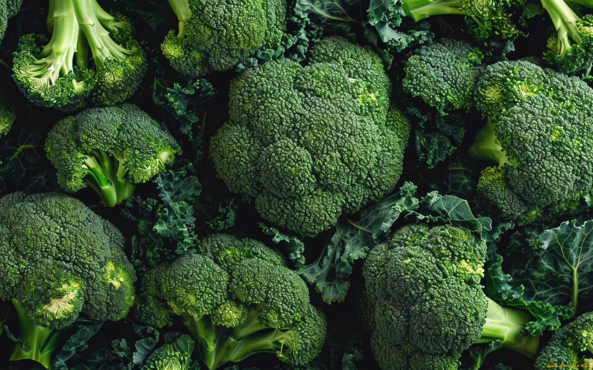 еда, капуста, и, её, разновидности, брокколи, капуста, макро