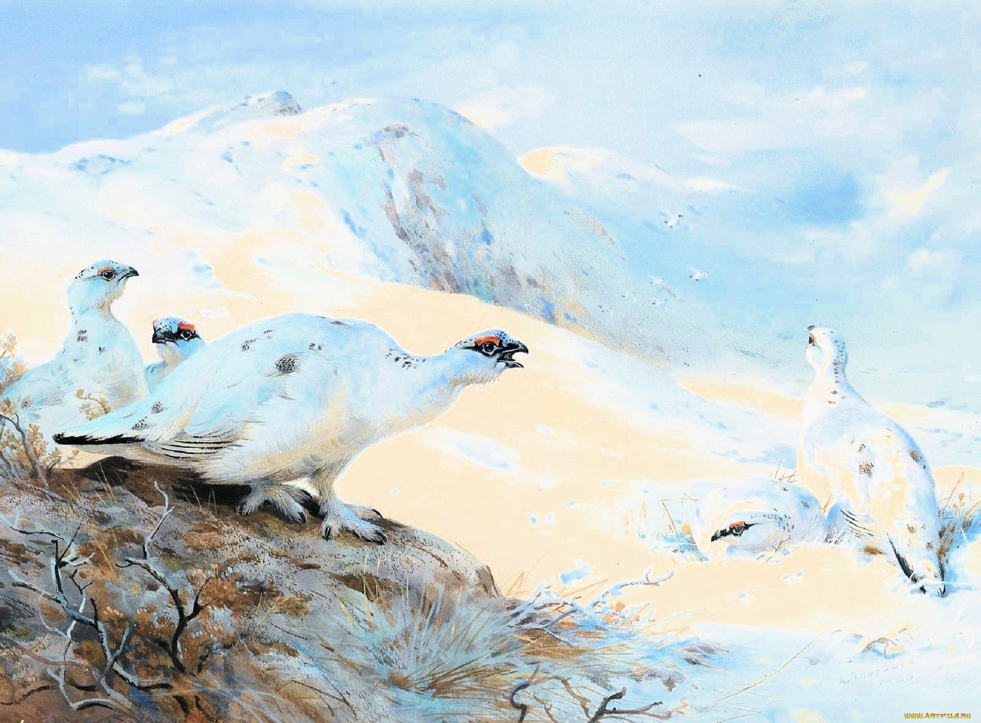 рисованное, archibald, thorburn, птицы, стая, горы, снег, зима