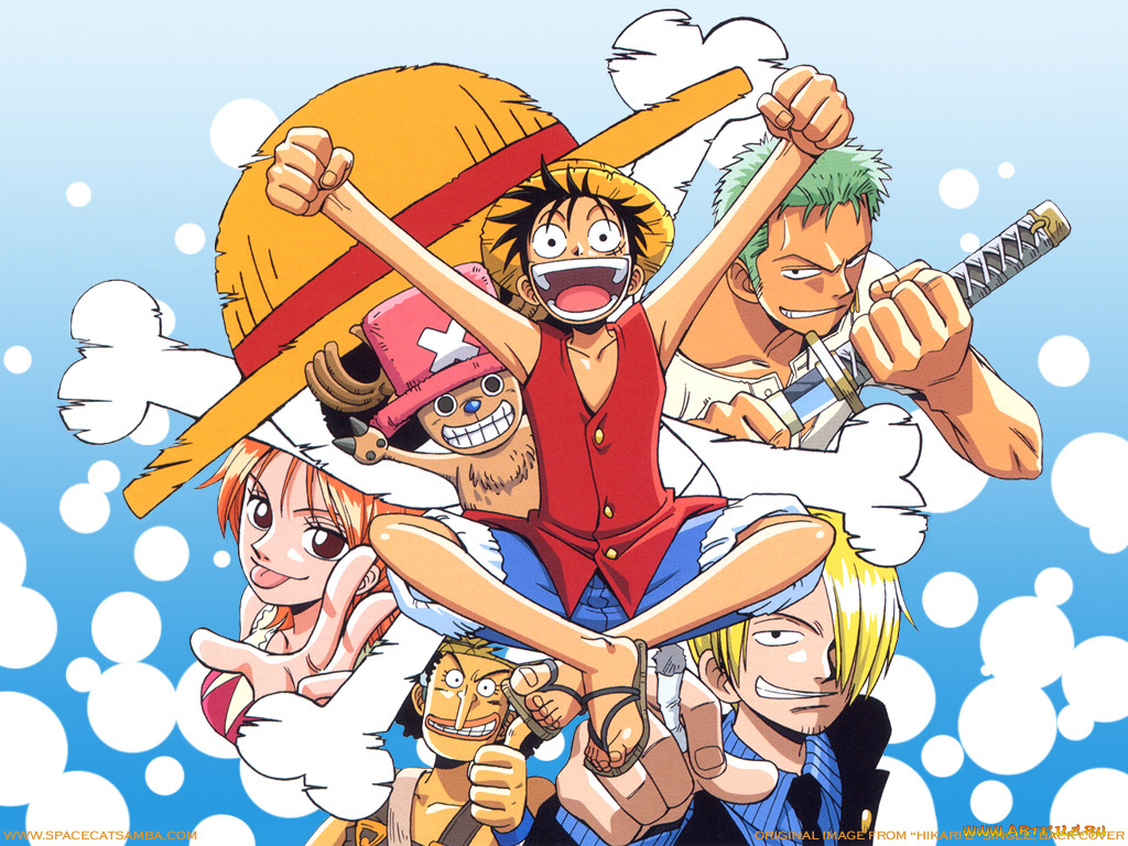 team, аниме, one, piece, nami, monkey, d, luffy, sanji, roronoa, zoro, usopp, chopper