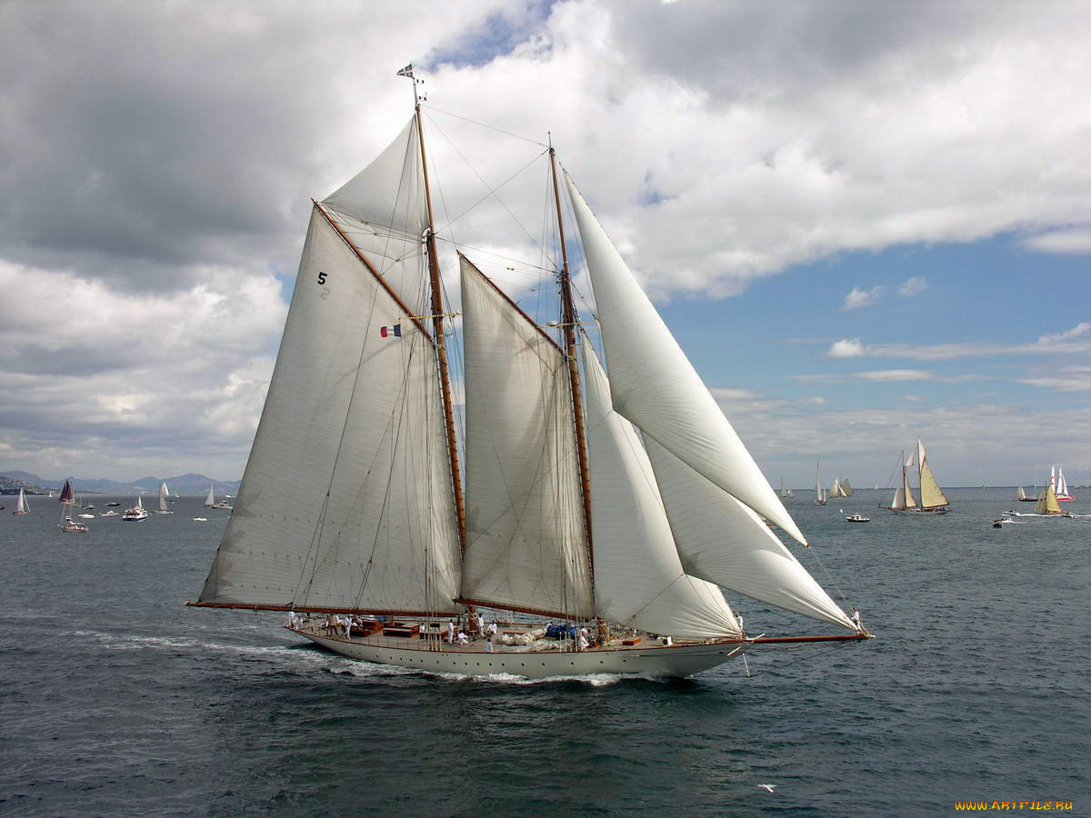 корабли, Яхты