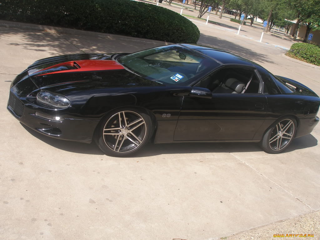 автомобили, camaro