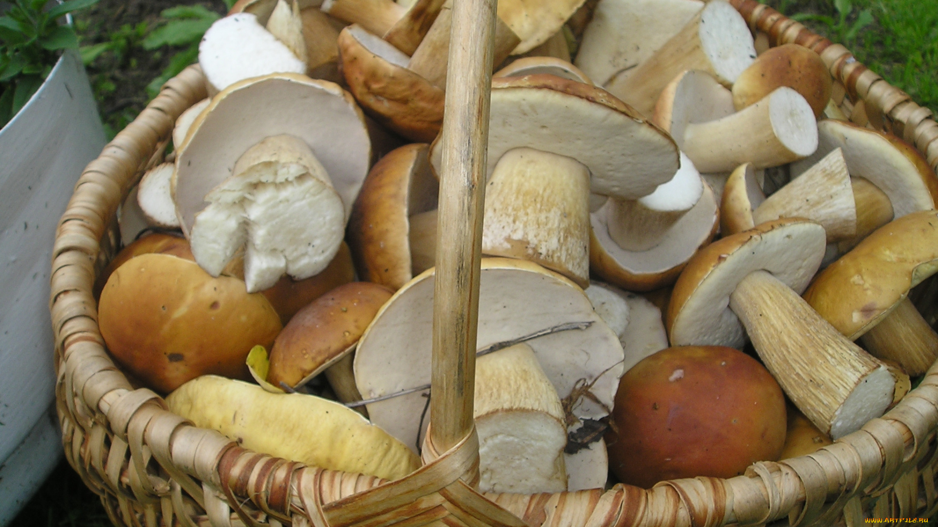 еда, грибы, грибные, блюда