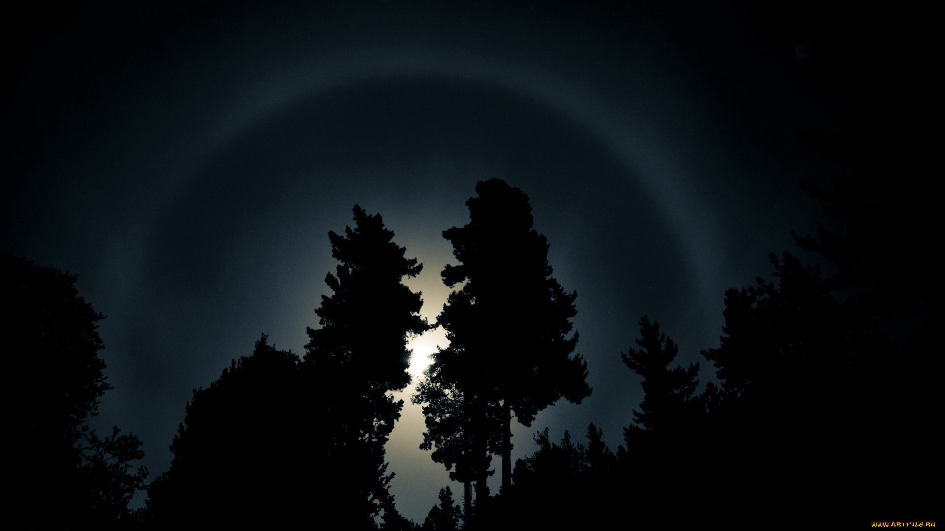 природа, деревья