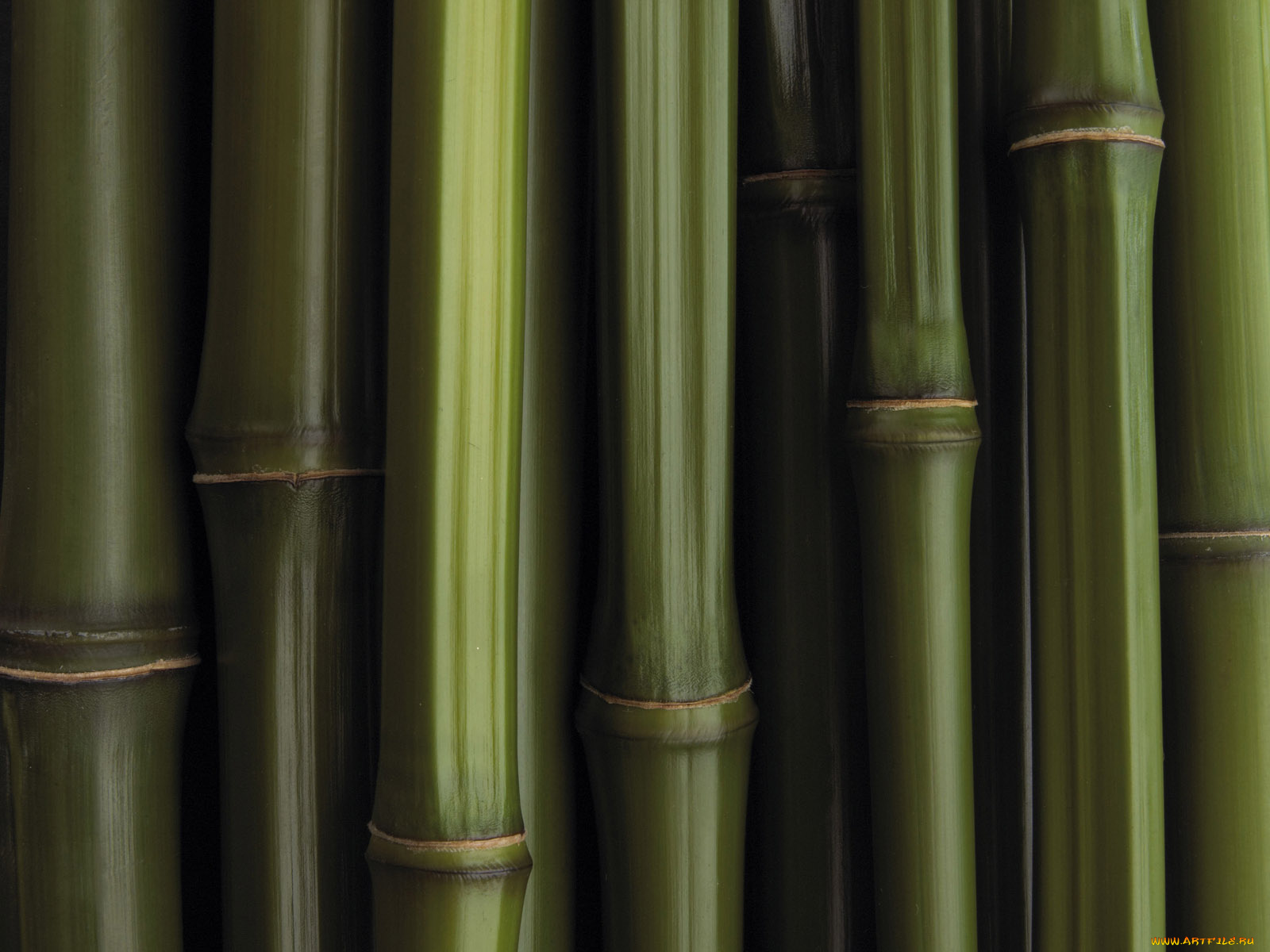 разное, текстуры, бамбук