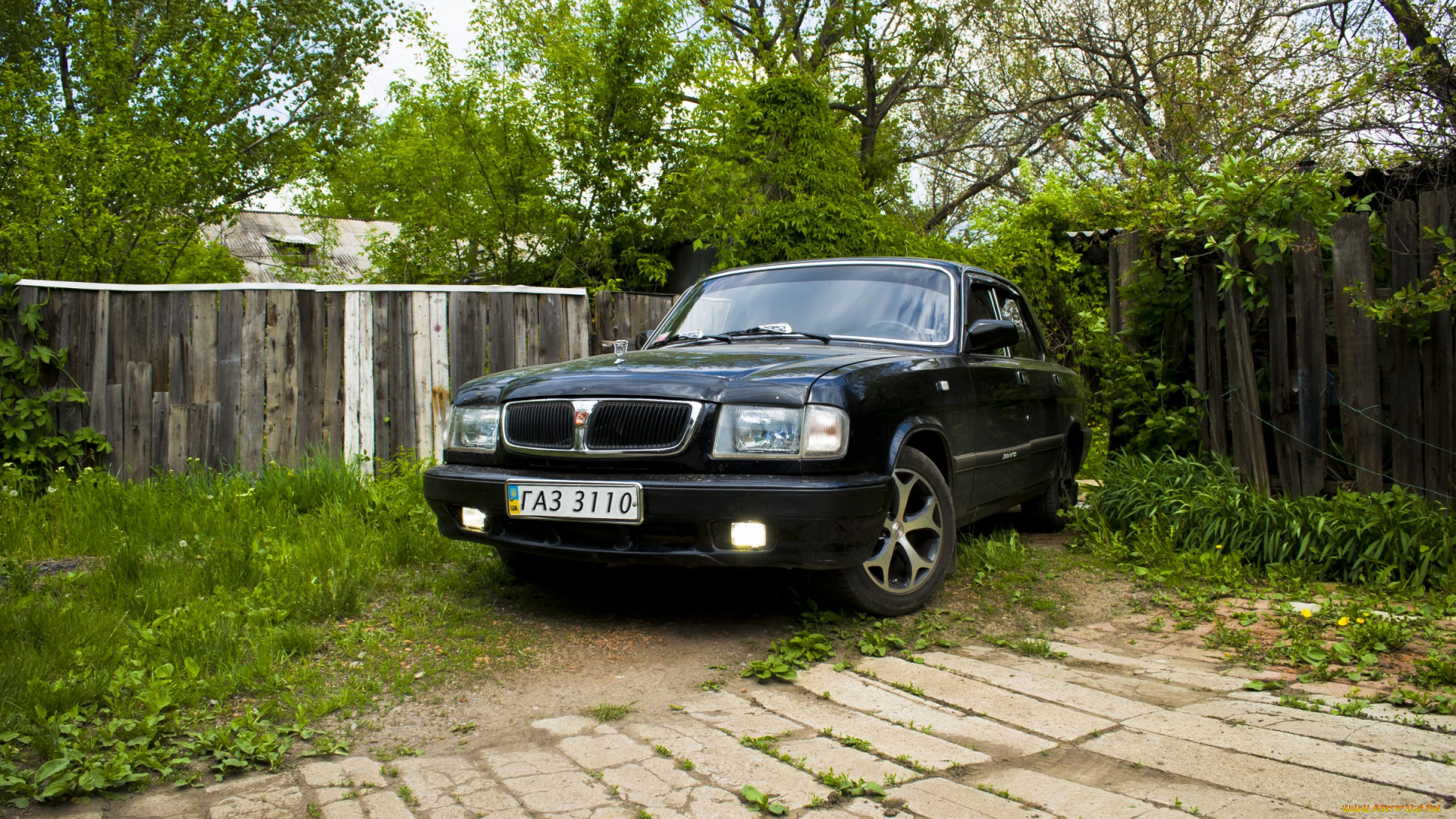 газ, 3110, автомобили, волга, газ3110