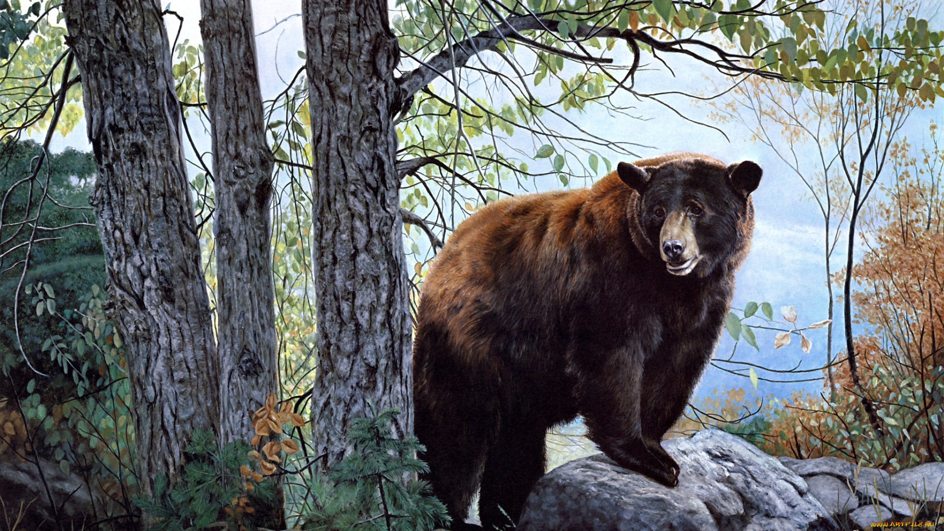 morning, watch, рисованные, charles, frace, painting, bear, forest, nature