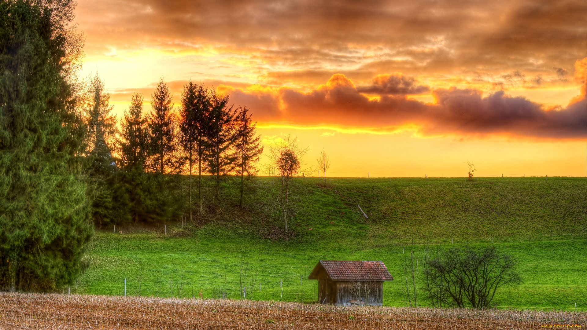 природа, восходы, закаты, трава, закат, лес, домик