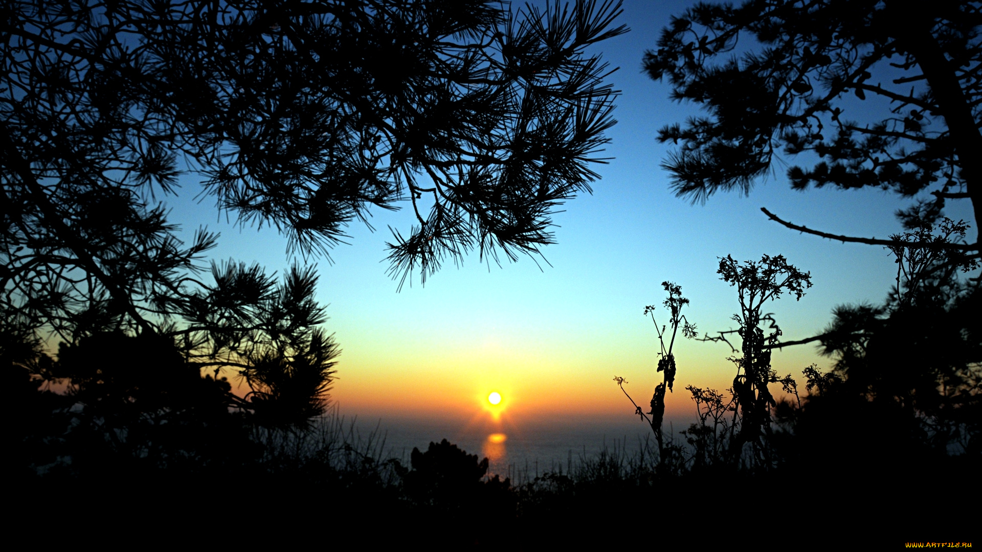 sunrise, природа, восходы, закаты, рассвет, лес