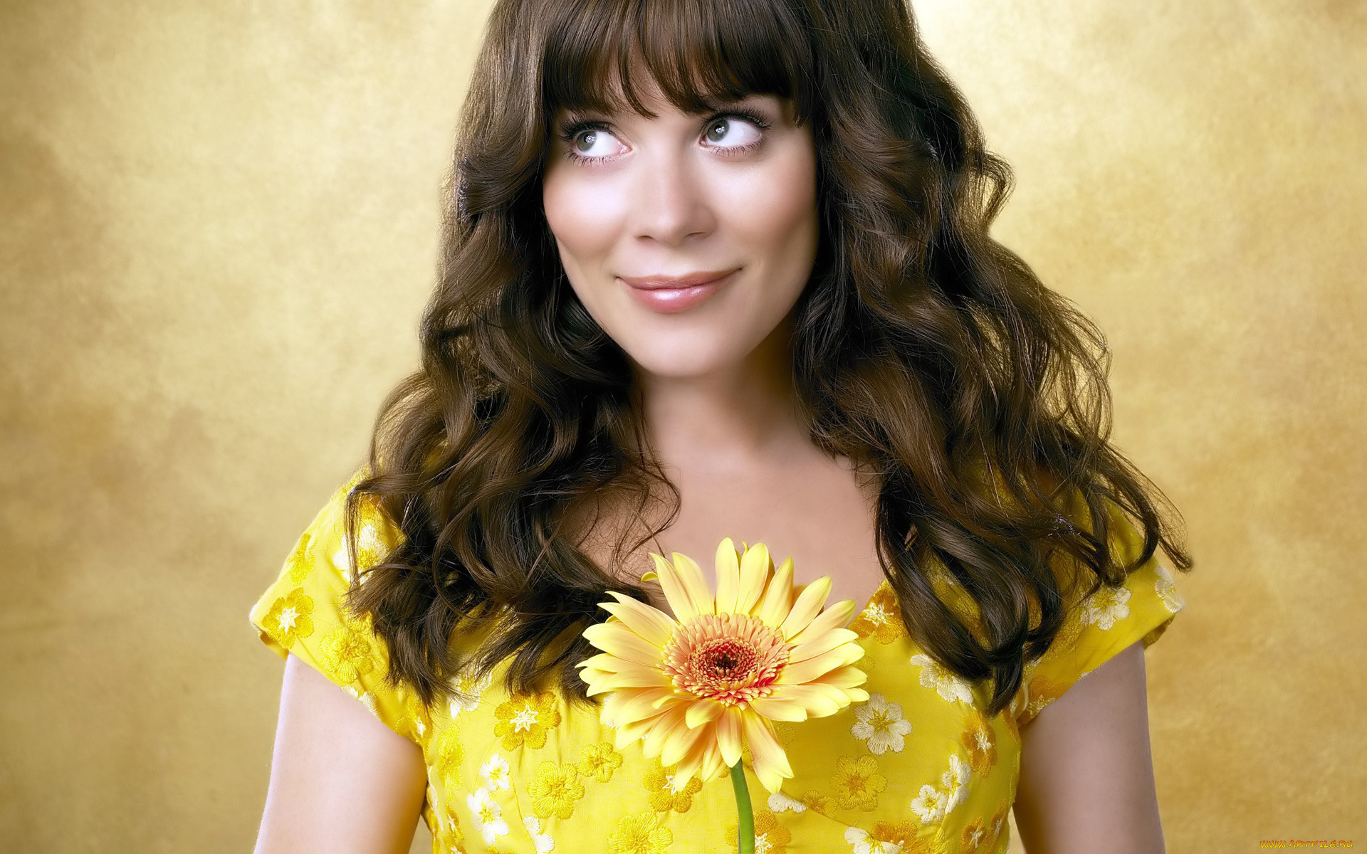 Anna, Friel, девушки, , , гербера