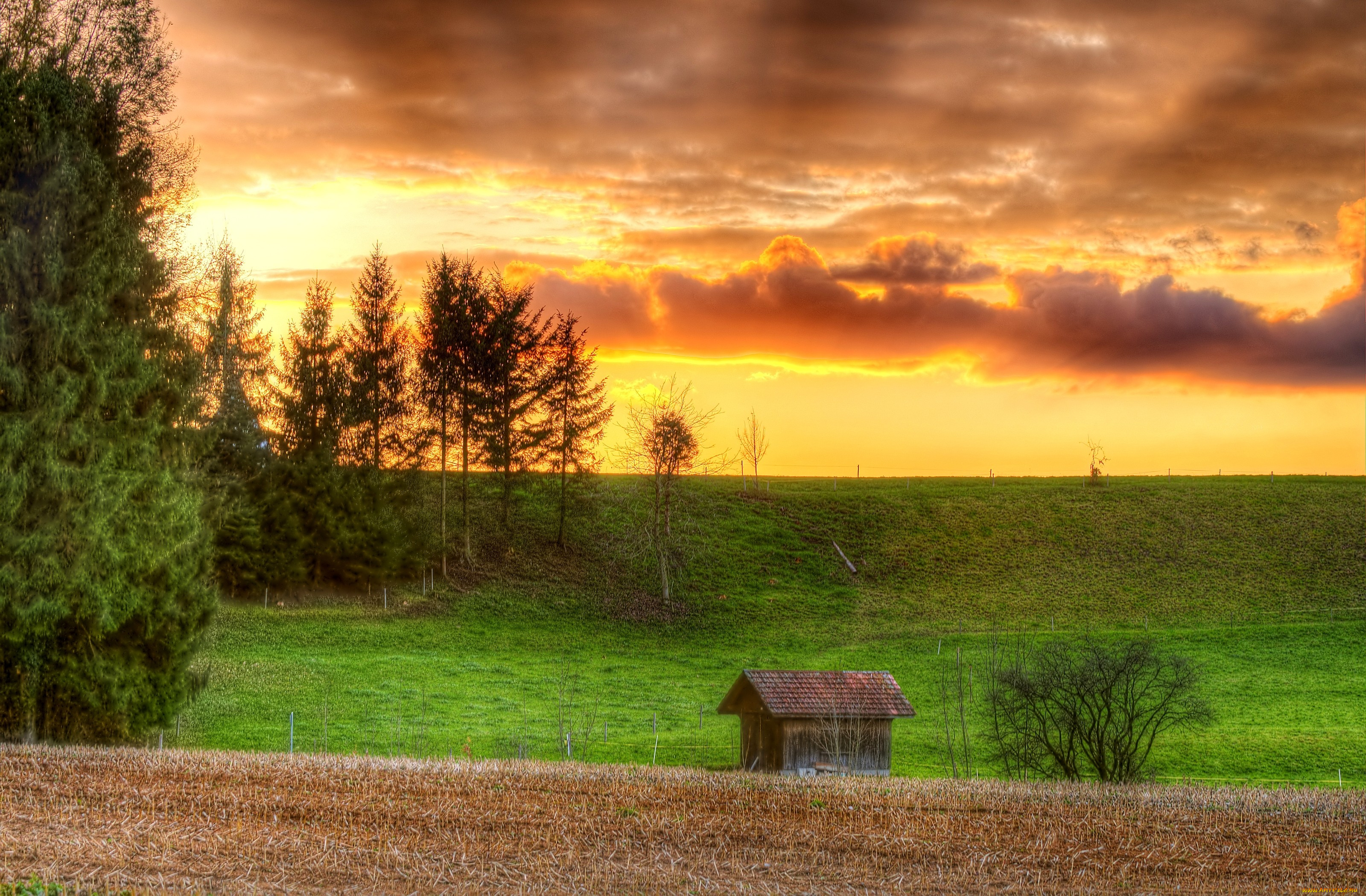 природа, восходы, закаты, трава, закат, лес, домик