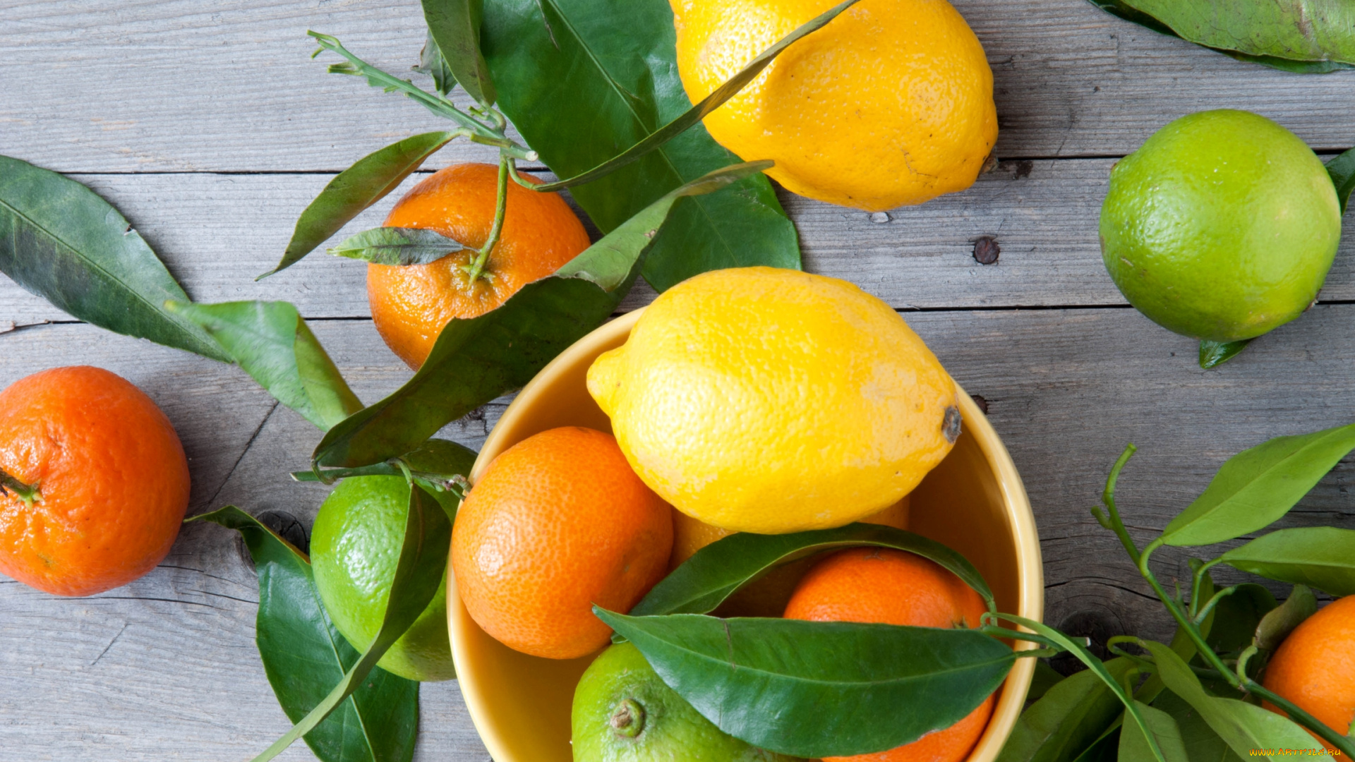 еда, цитрусы, мандарины, лимоны