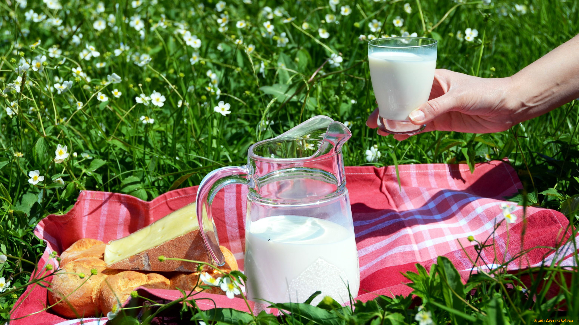 еда, масло, , молочные, продукты, стакан, кувшин, молоко