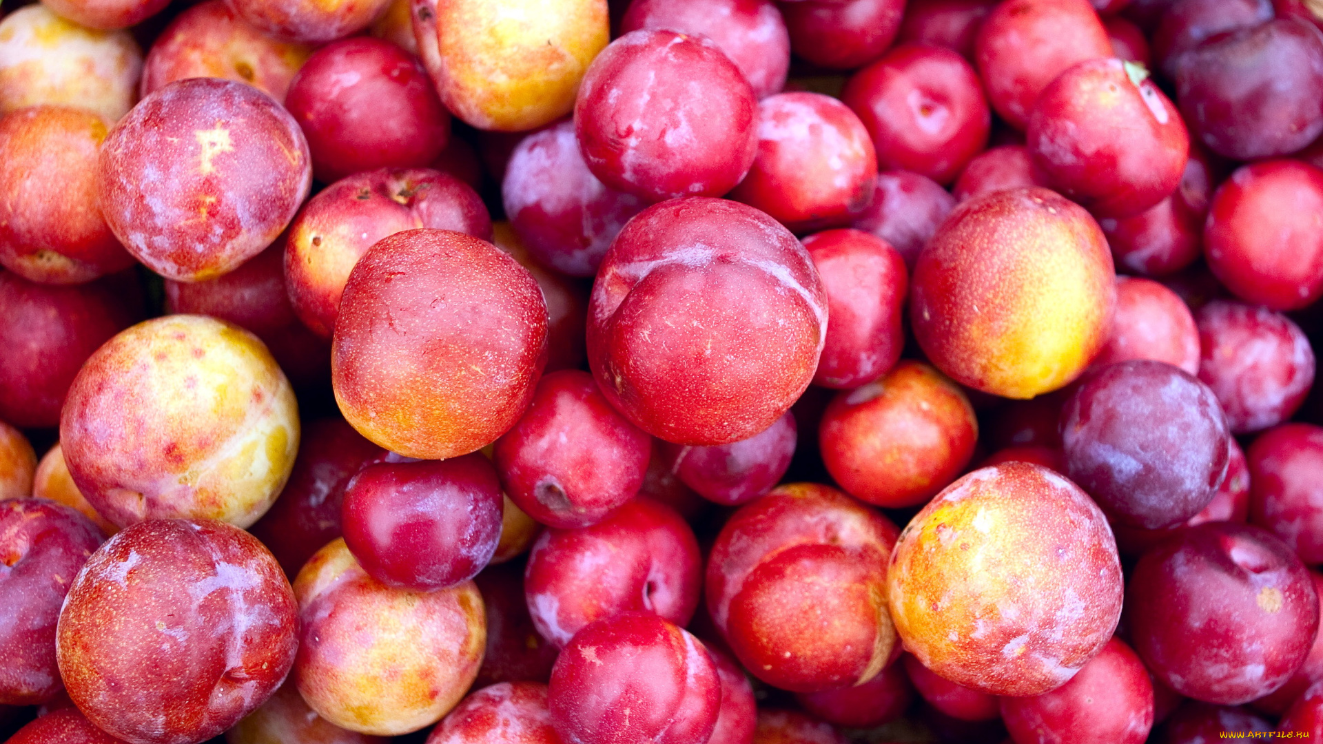 еда, персики, , сливы, , абрикосы, много