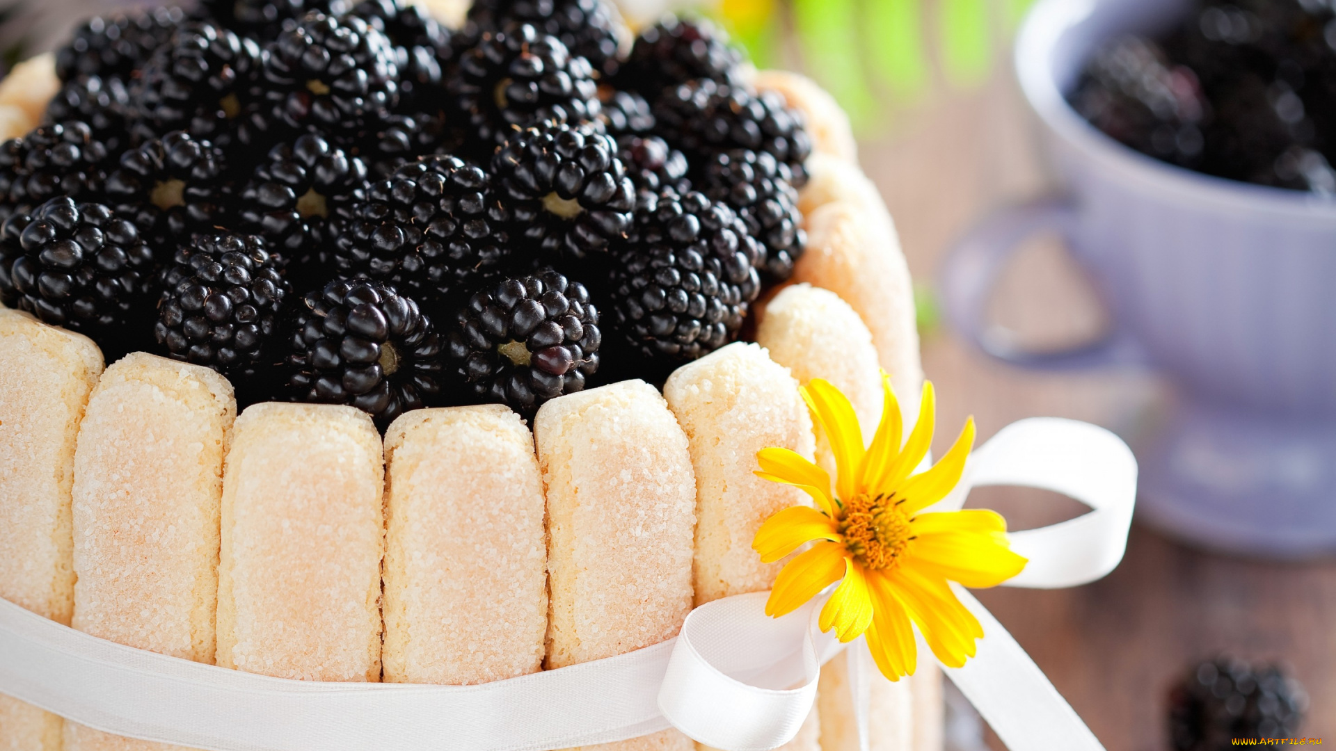 еда, торты, ежевика