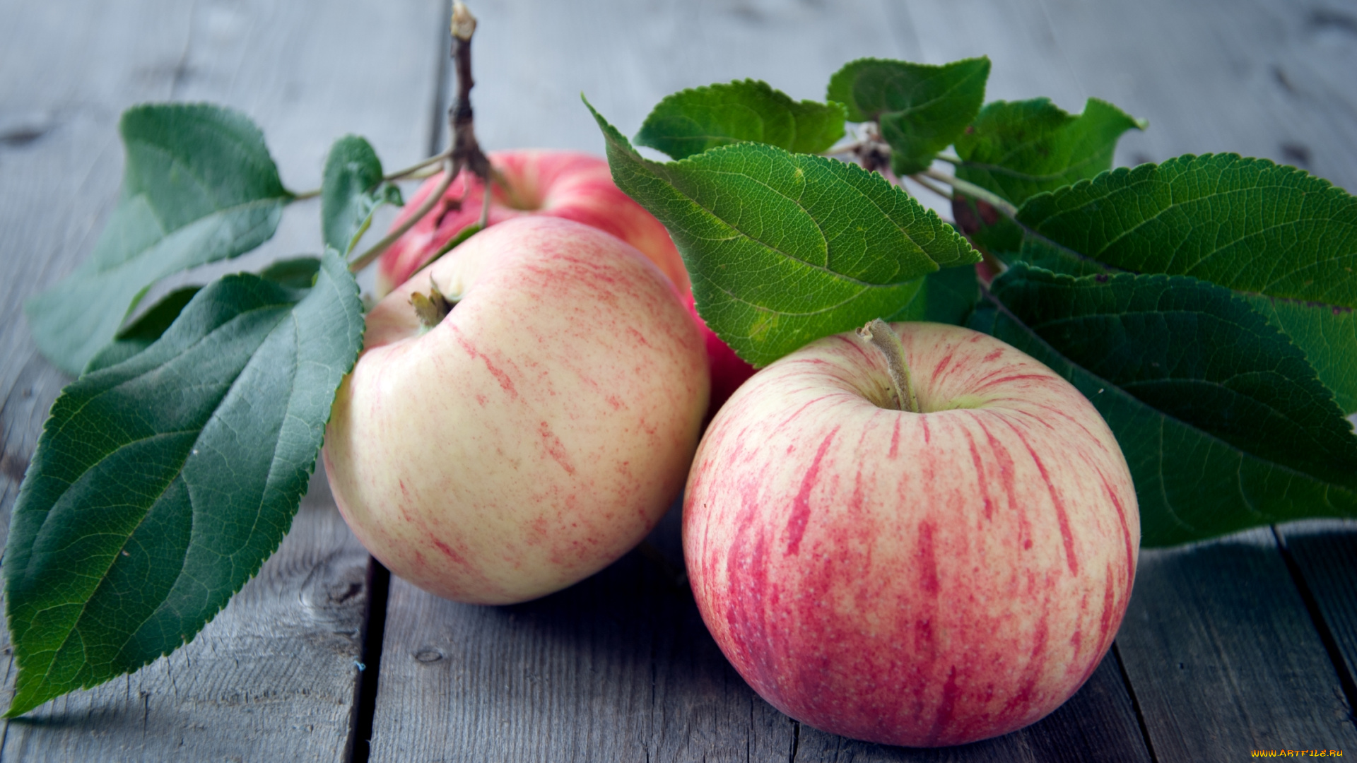 еда, Яблоки, плоды