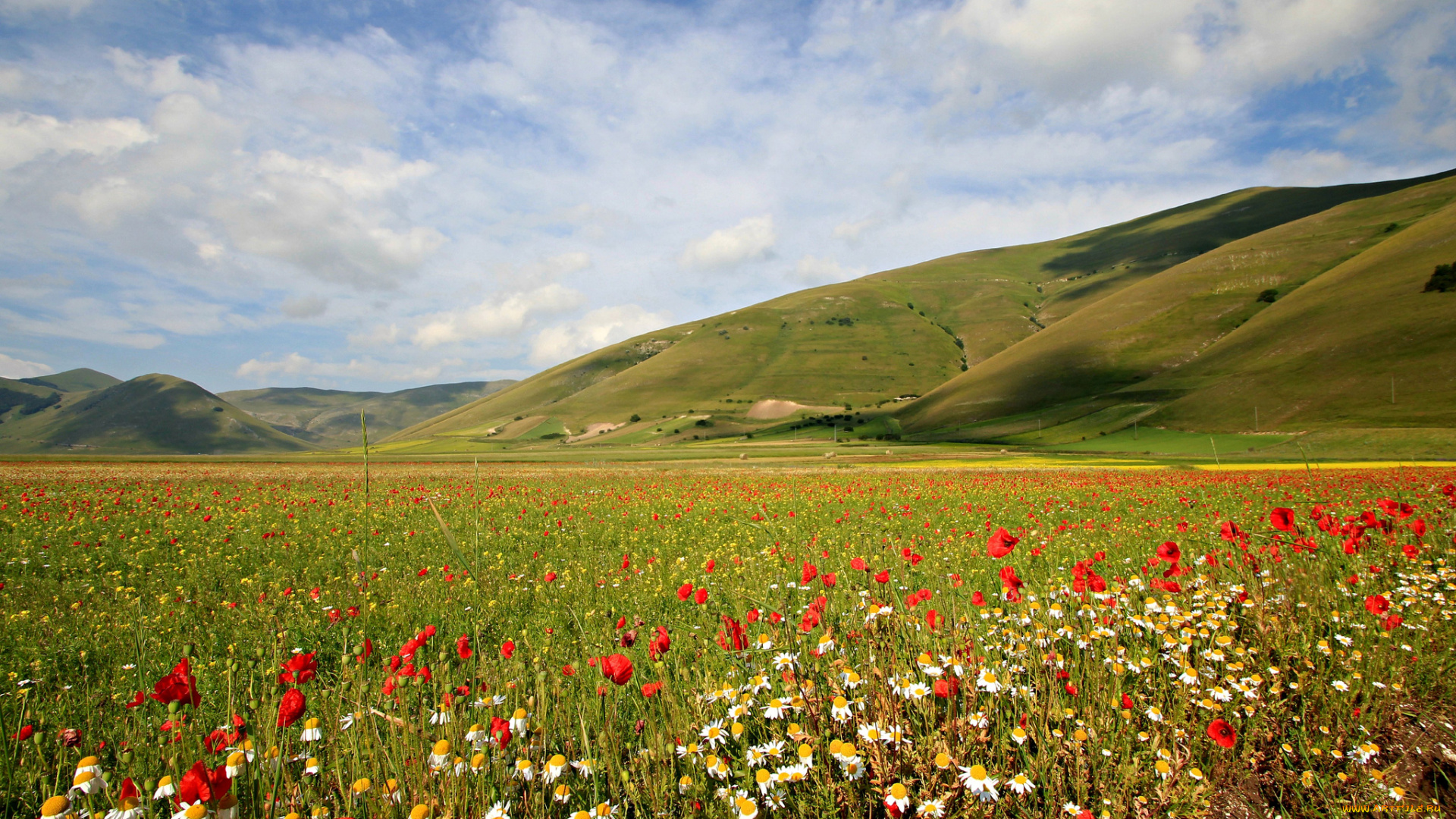 природа, луга, облака, цветы, горы, трава, луг