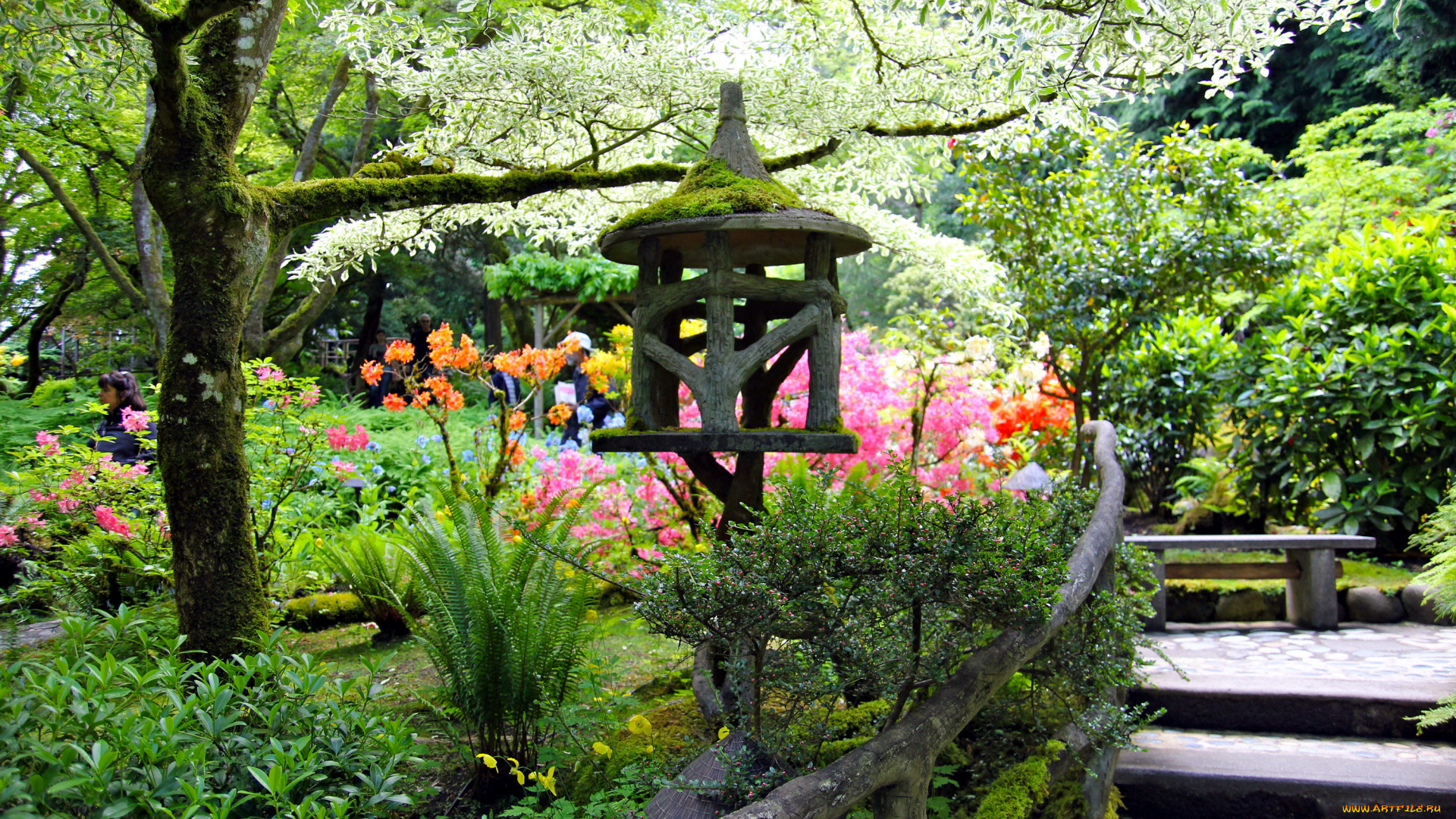 природа, парк, скамейка, кусты, цветы