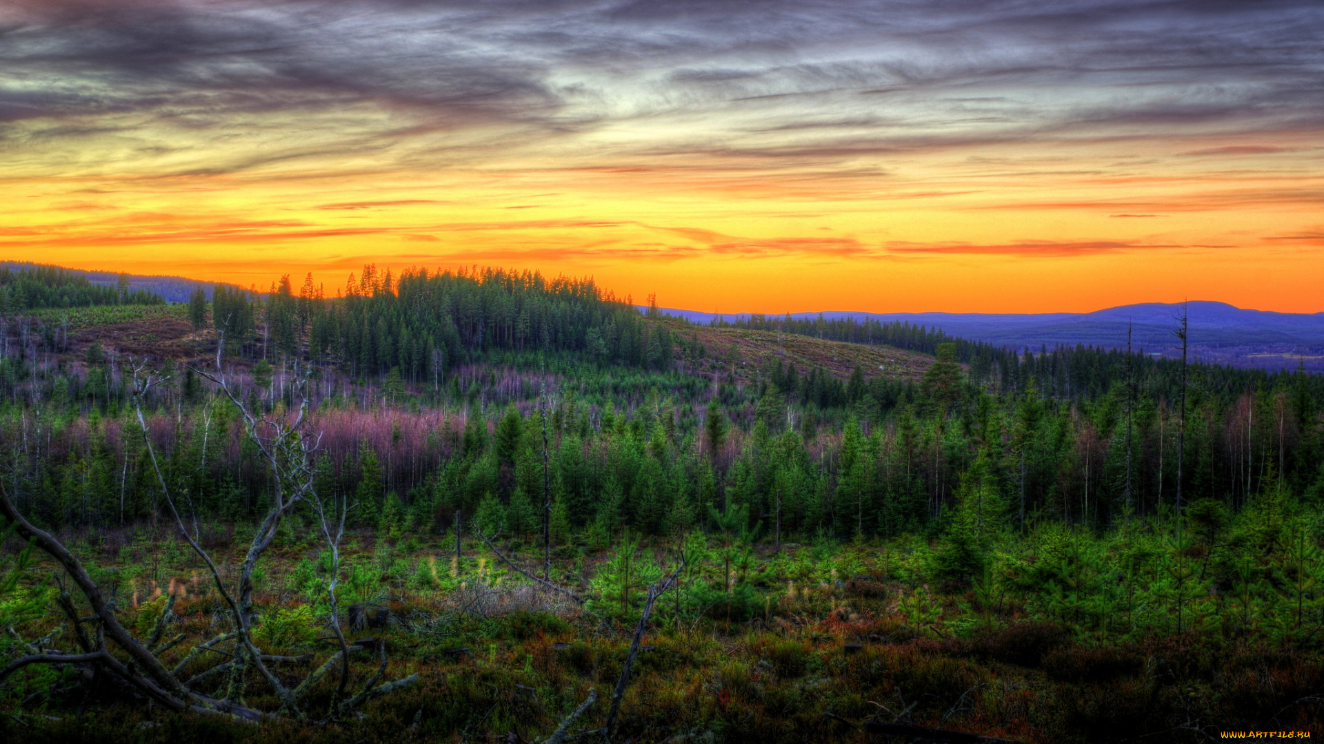природа, пейзажи, тучи, леса, равнина, зарево