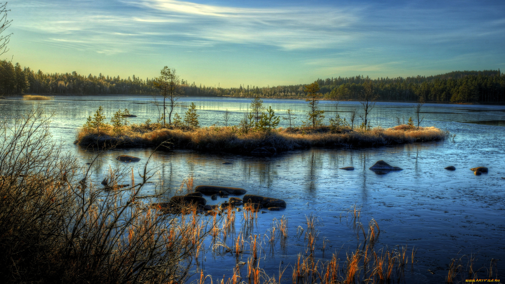 природа, реки, озера, лес, островок, озеро